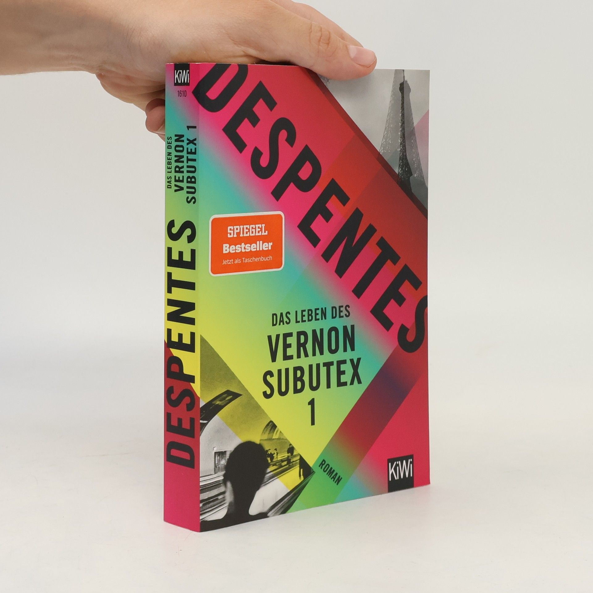 Das Leben des Vernon Subutex 1