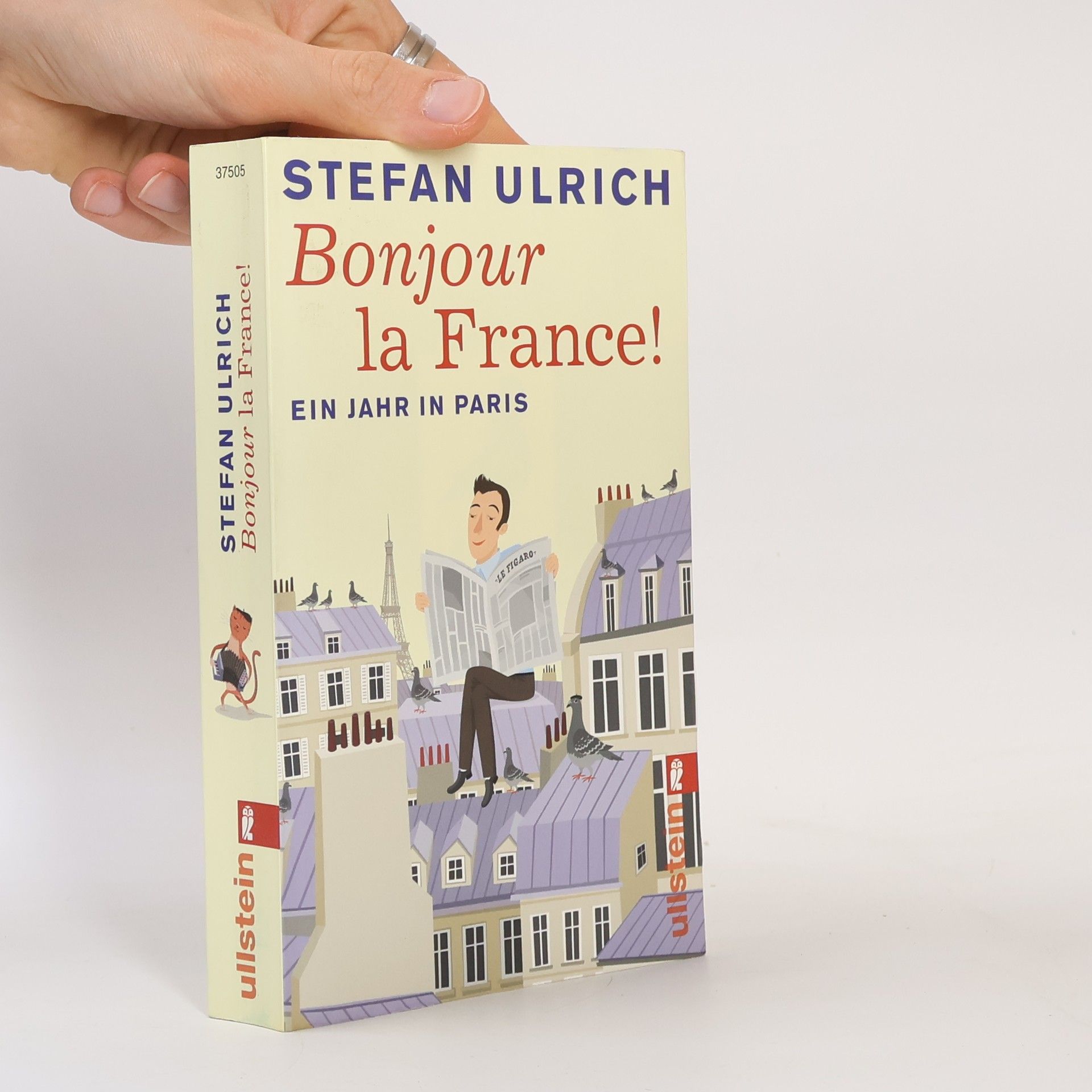 Stefan Ulrich Bonjour la France! Ein Jahr in Paris