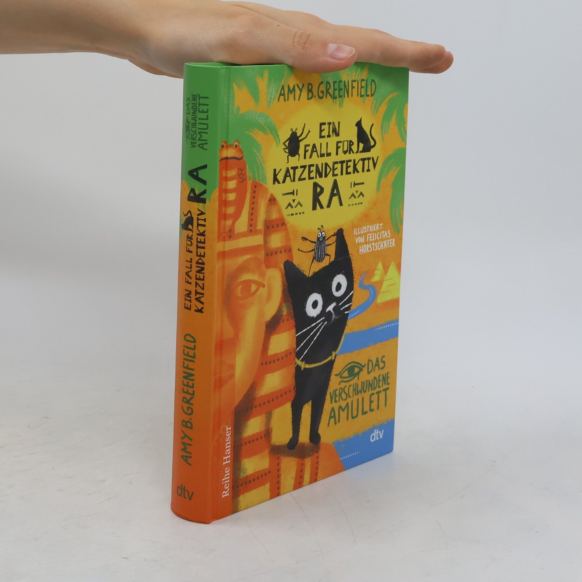 Amy Greenfield B. Ein Fall für Katzendetektiv Ra, Das verschwundene Amulett