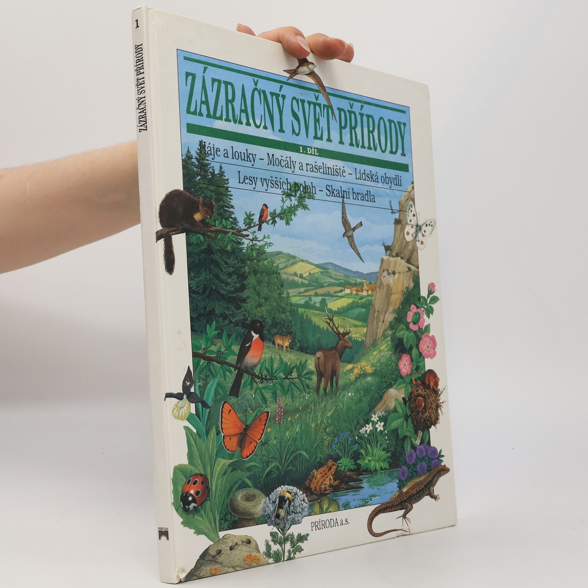 Florence Vérilhac Zázračný svět přírody 1