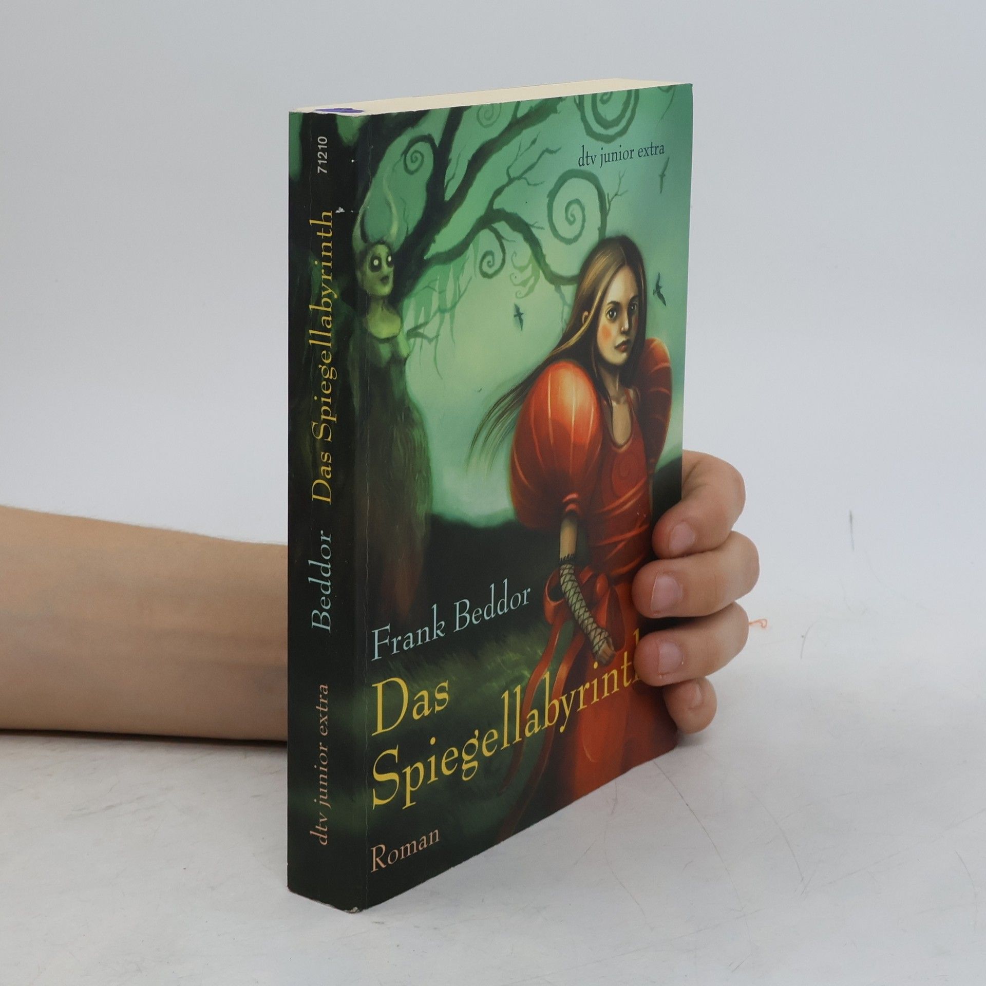 Frank Beddor Das Spiegellabyrinth