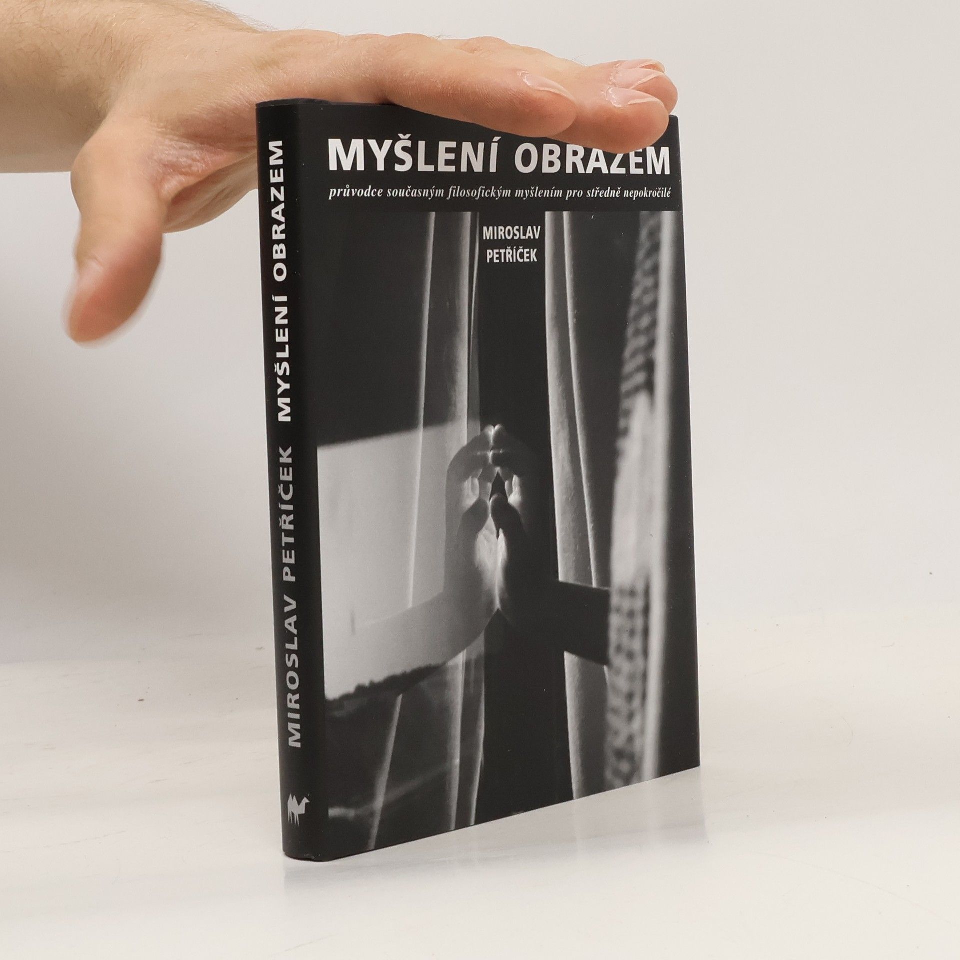 Miroslav Petříček jr. Myšlení obrazem: Průvodce současným filosofickým myšlením pro středně nepokročilé