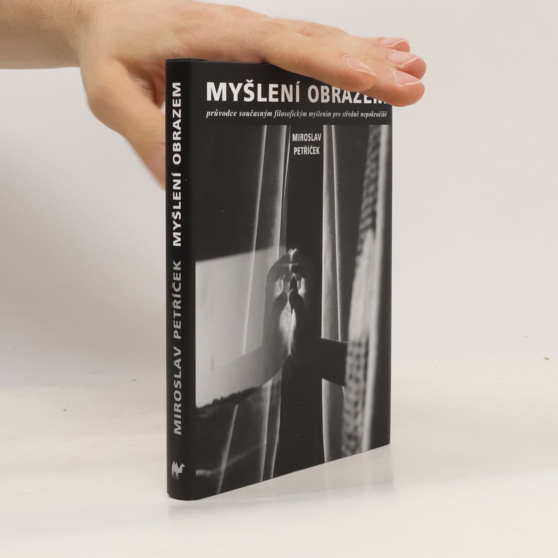 Miroslav Petříček Myšlení obrazem: Průvodce současným filosofickým myšlením pro středně nepokročilé