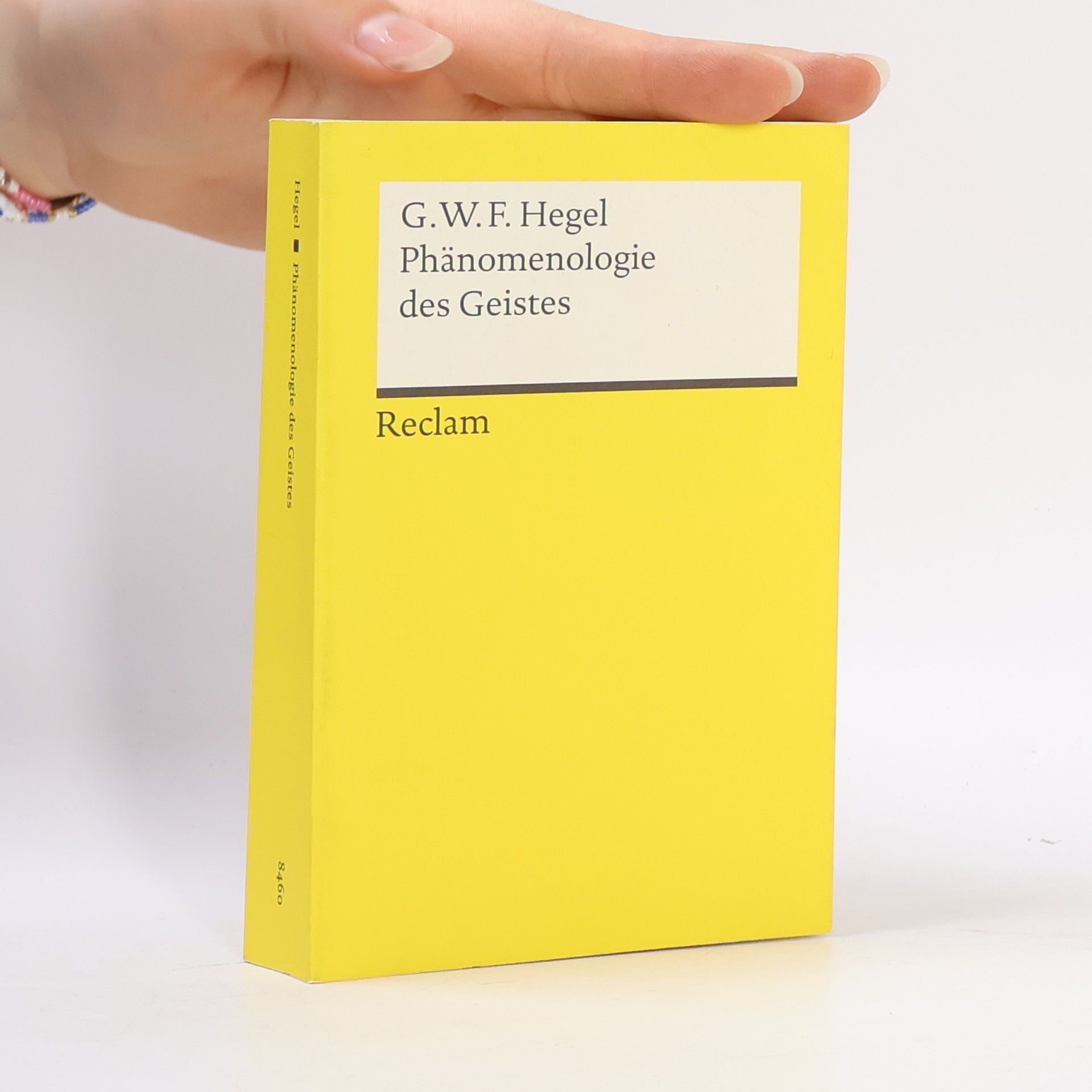 Georg Wilhelm Friedrich Hegel Phänomenologie des Geistes