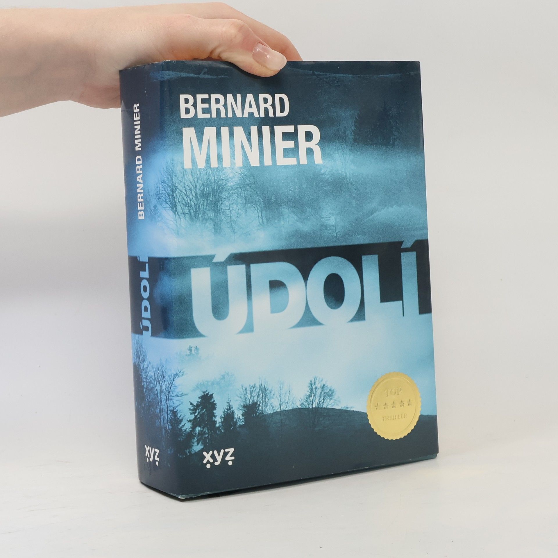 Bernard Minier Údolí
