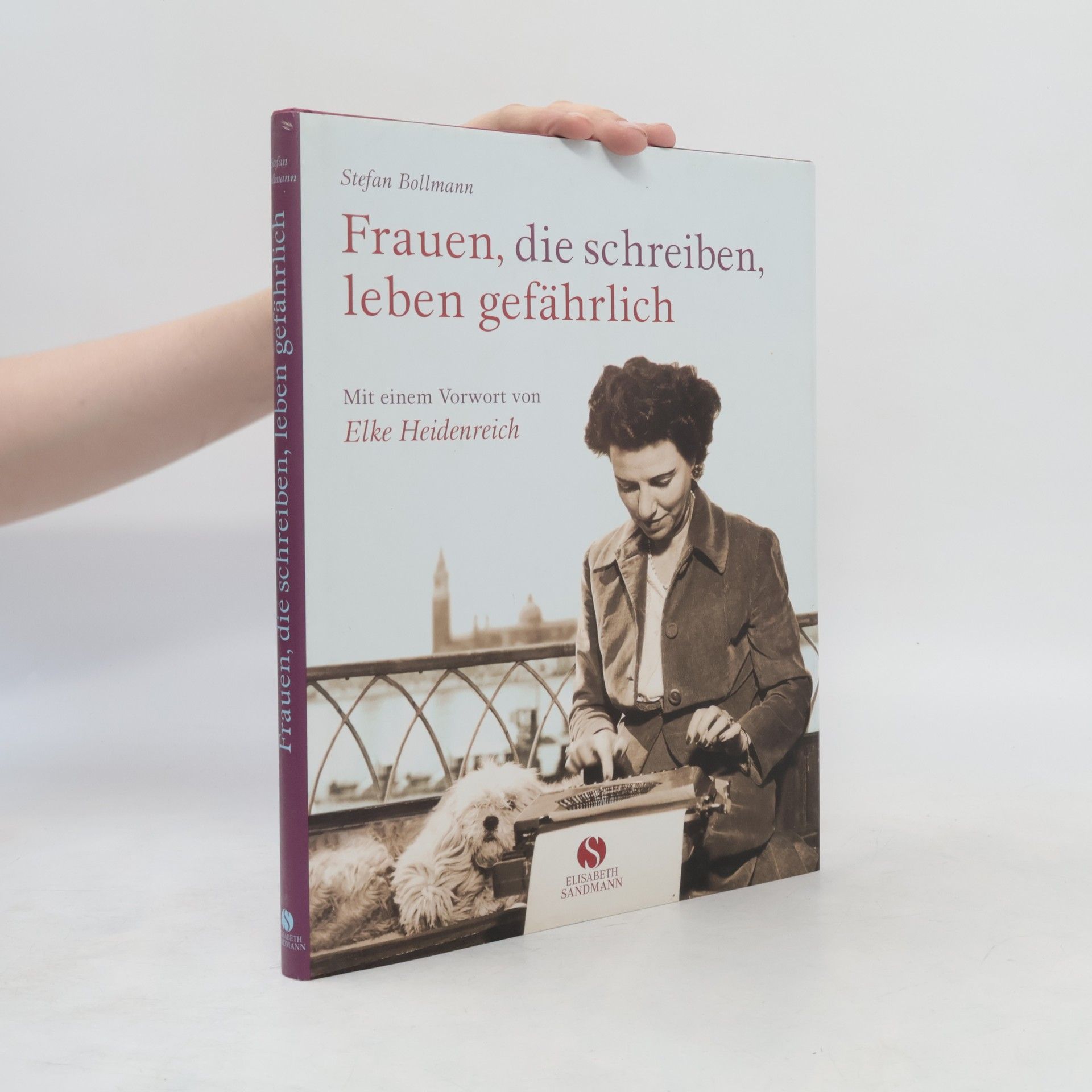 Stefan Bollmann Frauen, die schreiben, leben gefährlich