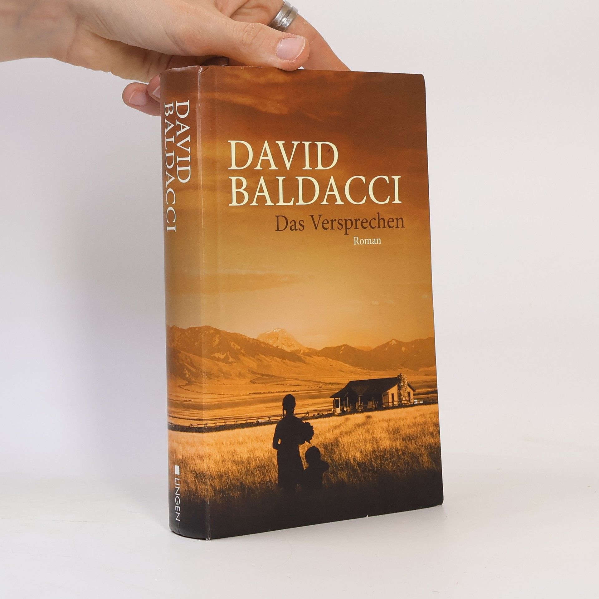 David Baldacci Das Versprechen