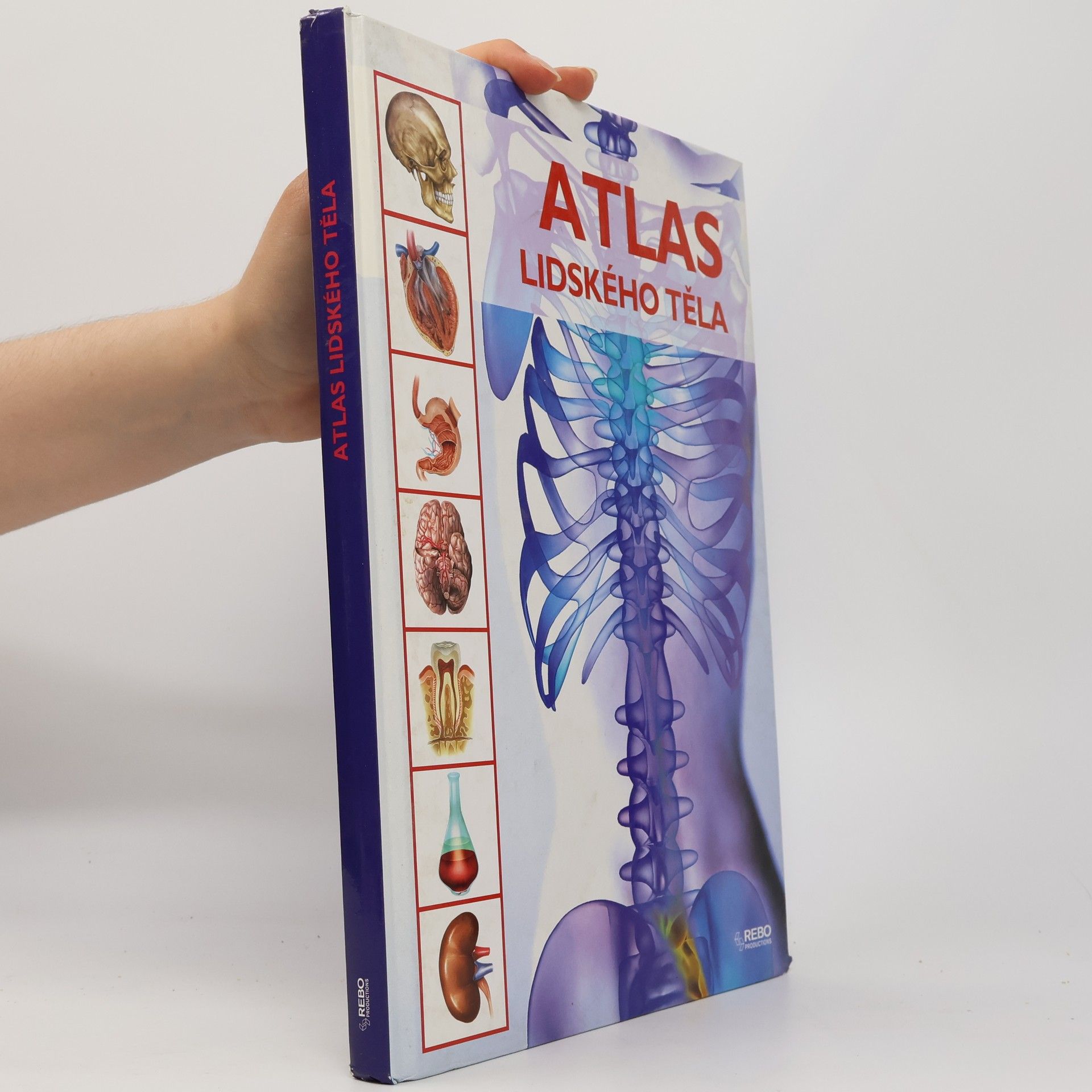 Jordi Vigué-Martín Atlas lidského těla