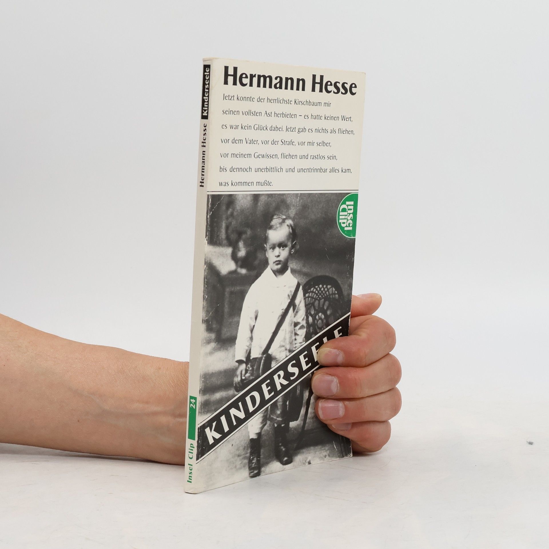 Hermann Hesse Kinderseele