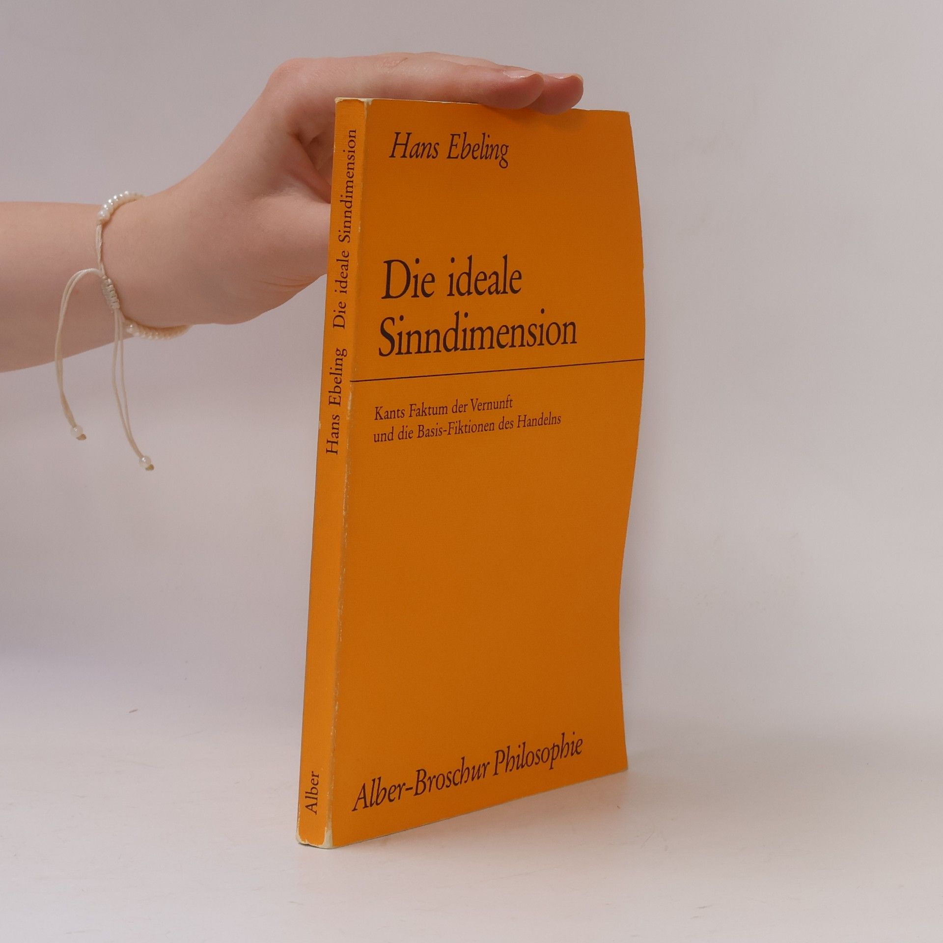 Hans Ebeling Die ideale Sinndimension