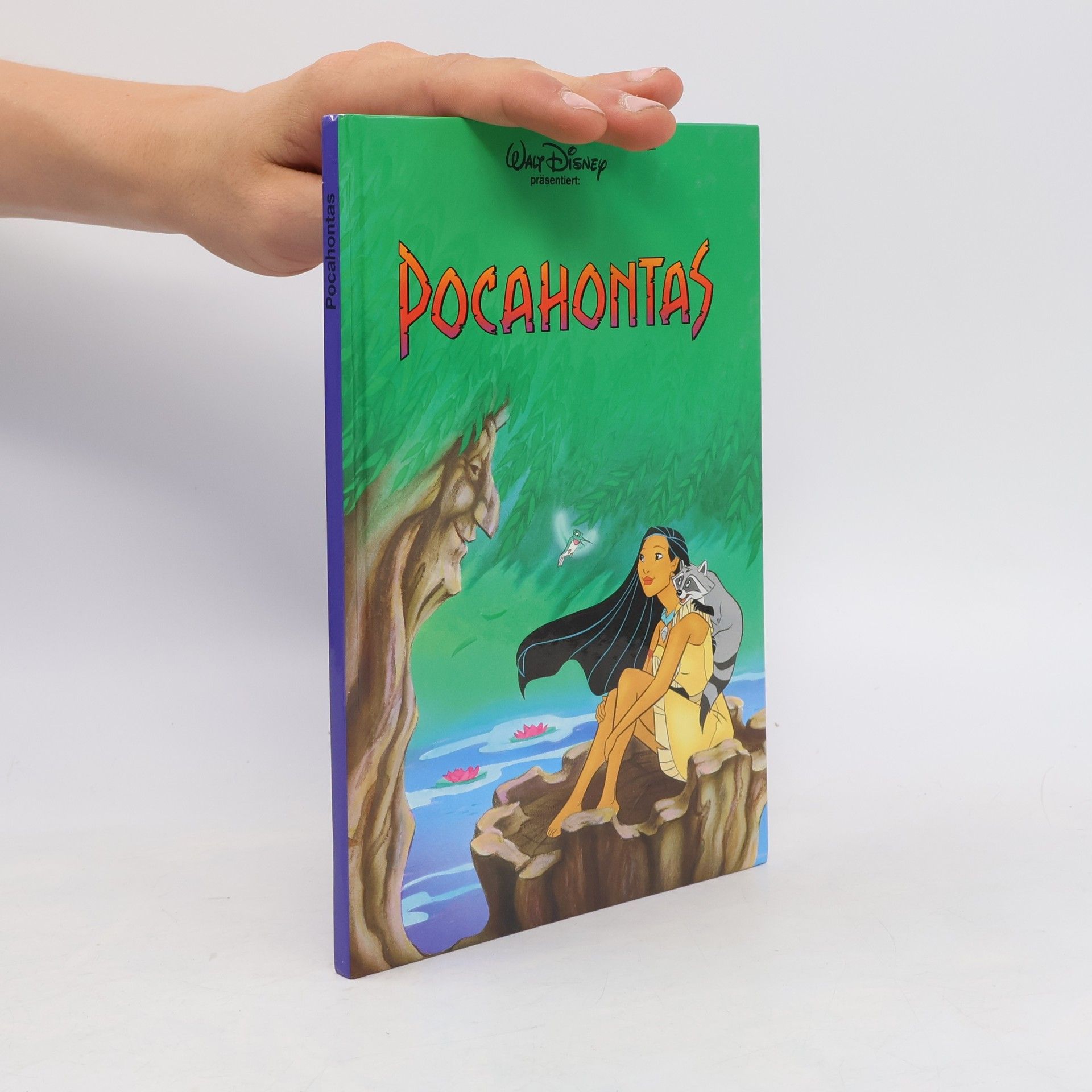Autorenkollektiv Pocahontas