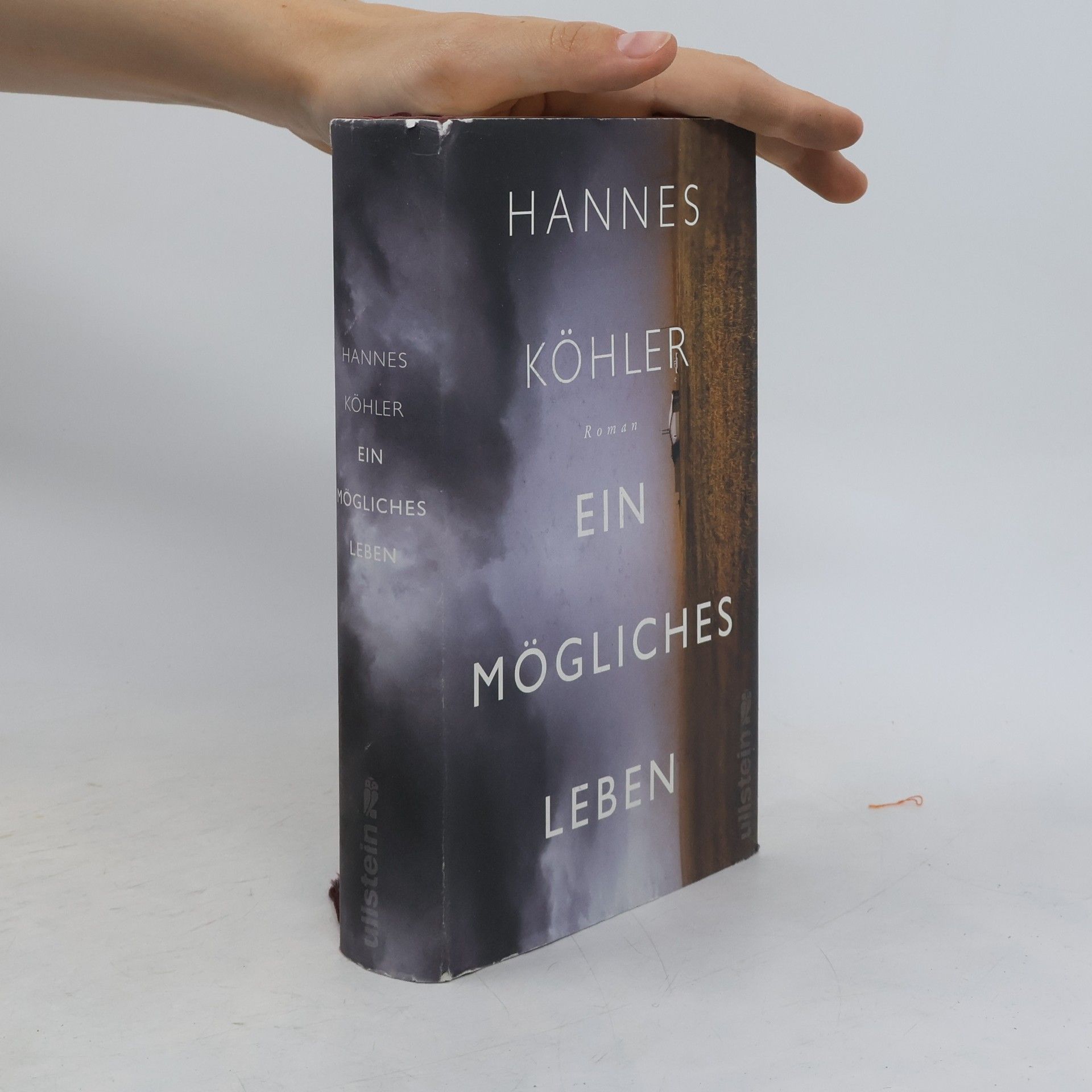 Hannes Köhler Ein mögliches Leben