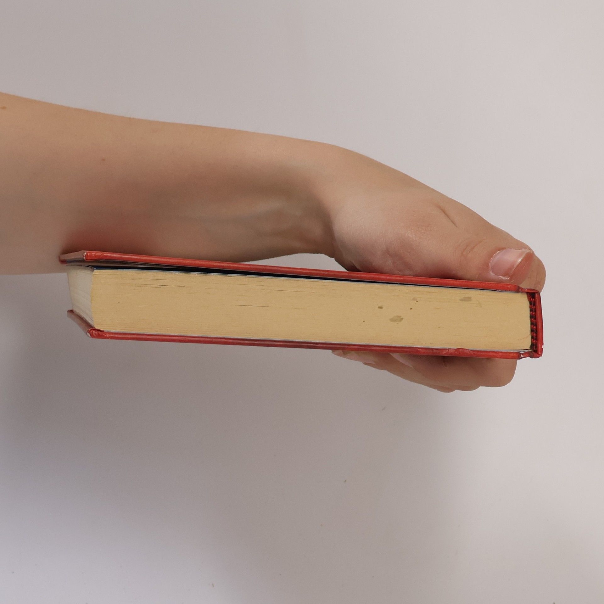 Jeff Kinney Deník malého poseroutky 1