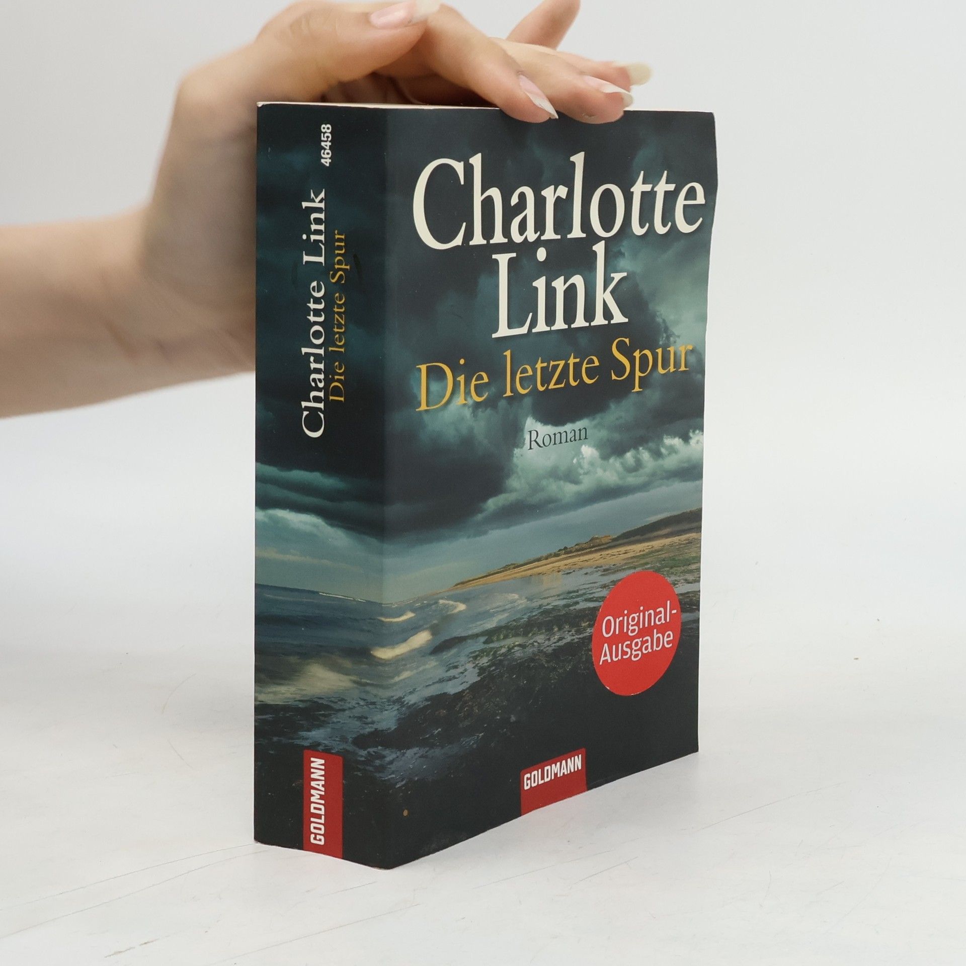 Charlotte Link Die letzte Spur