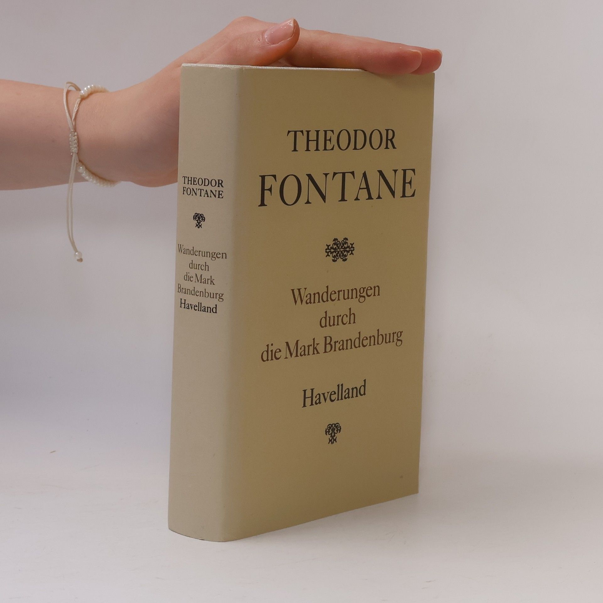 Theodor Fontane Wanderungen durch die Mark Brandenburg. Havelland