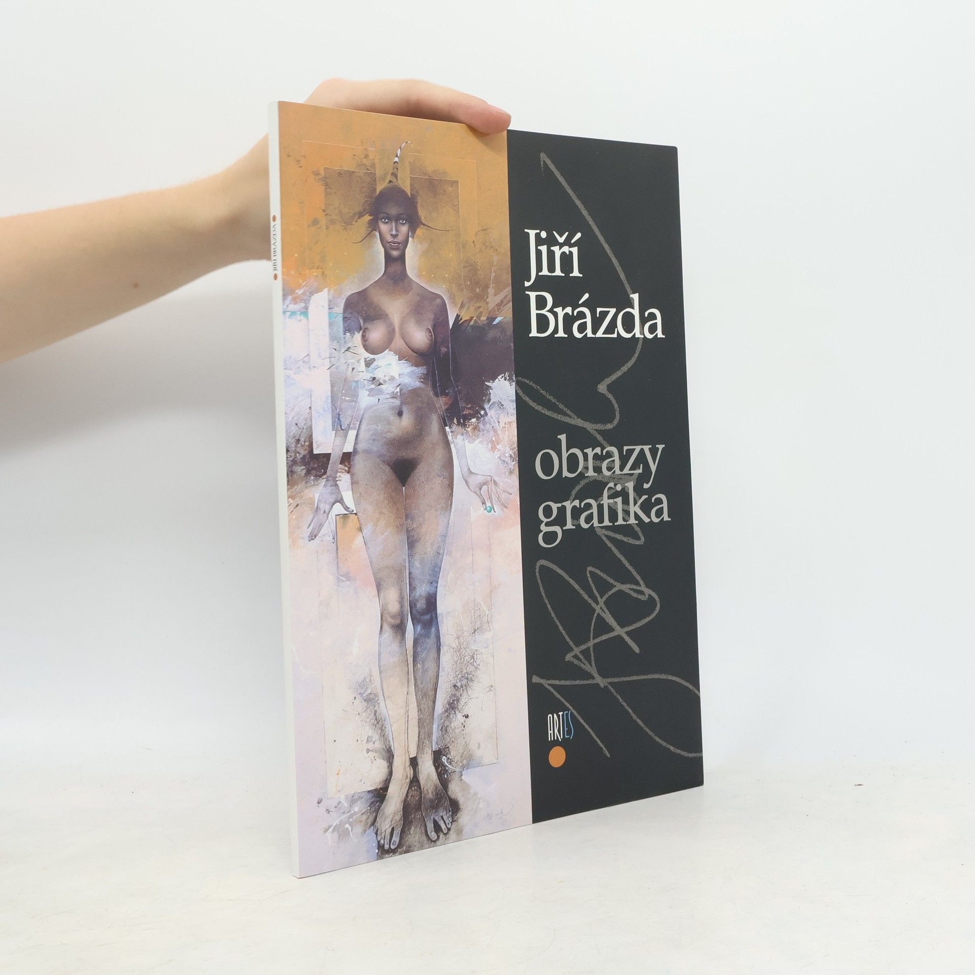Kolektiv autorů Jiří Brázda - Obrazy, grafika