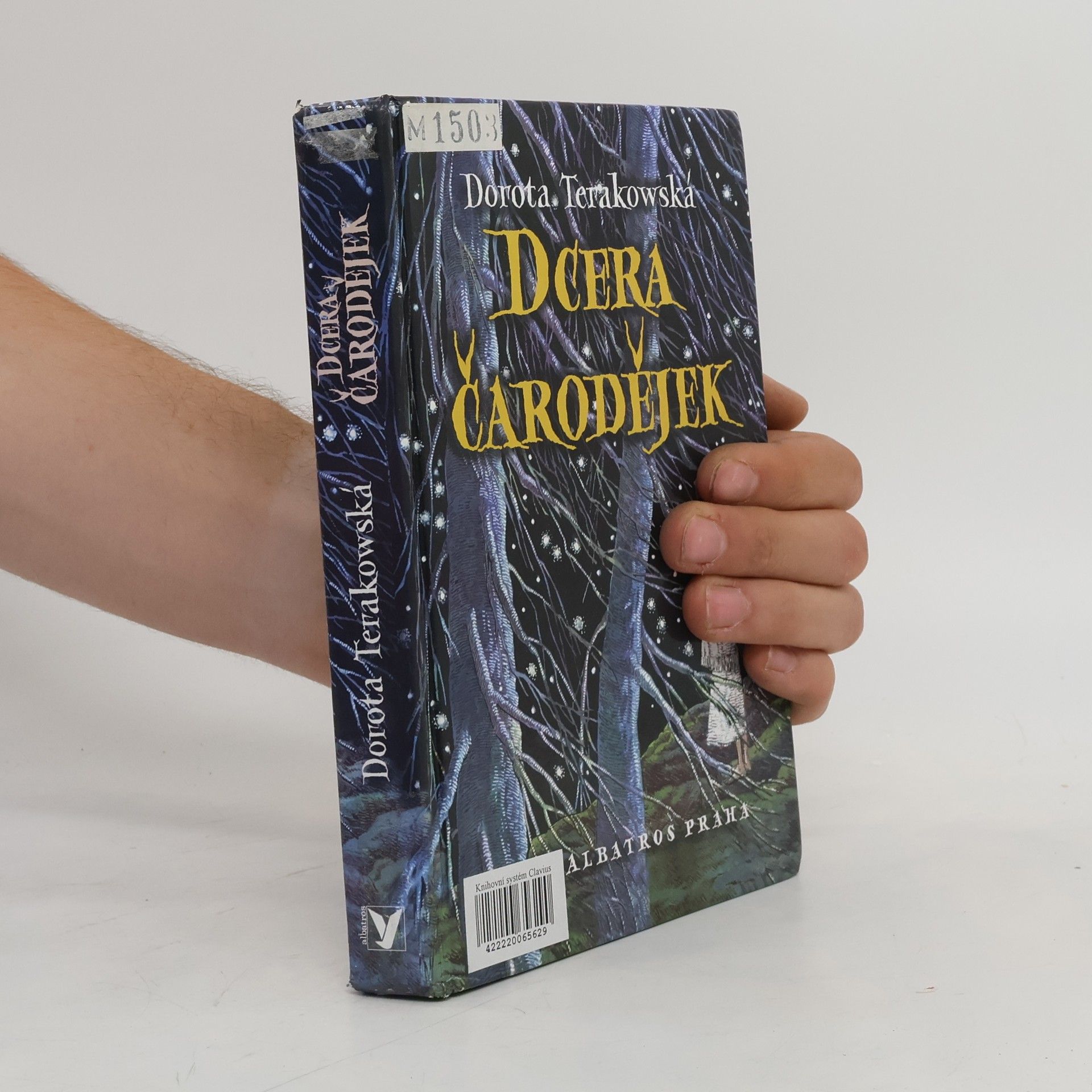 Dorota Terakowska Dcera čarodějek