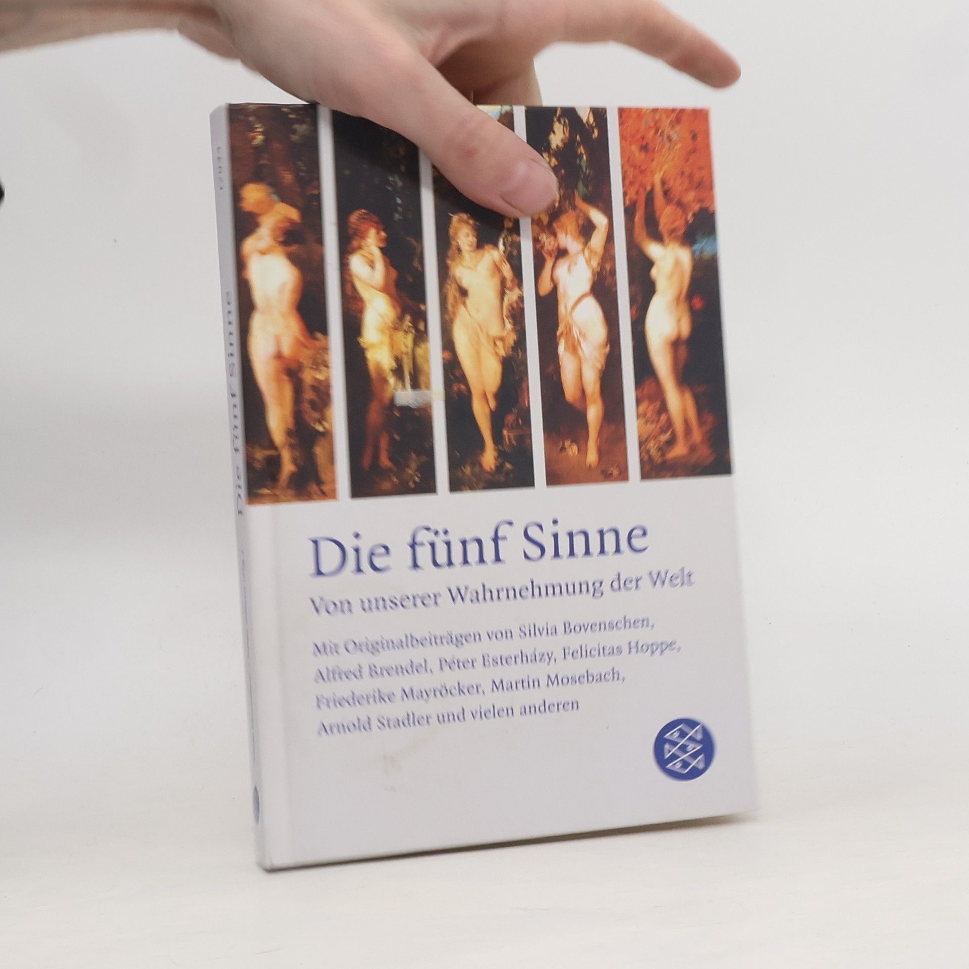 Die fünf Sinne