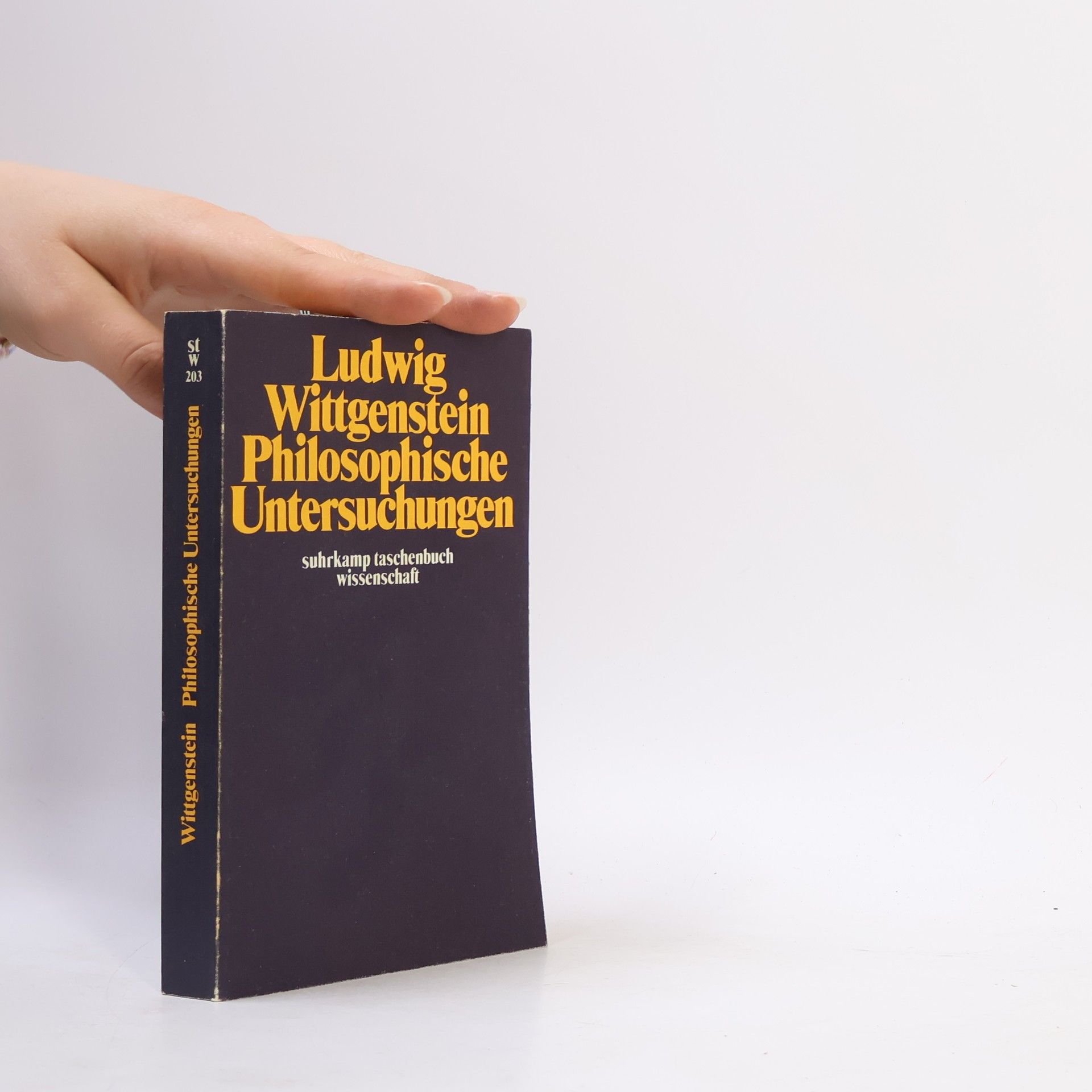 Ludwig Wittgenstein Philosophische Untersuchungen