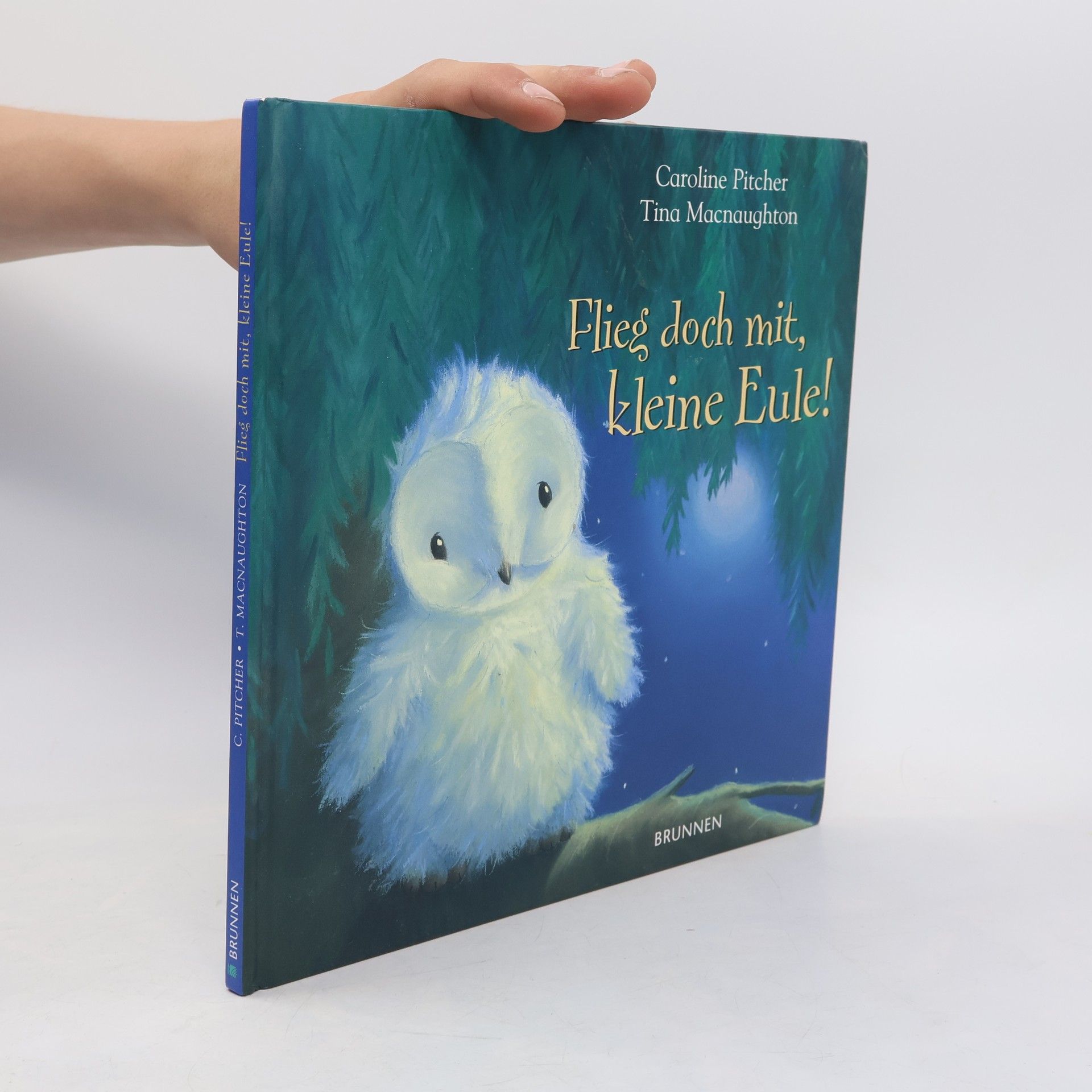 Caroline Pitcher Flieg doch mit, kleine Eule!