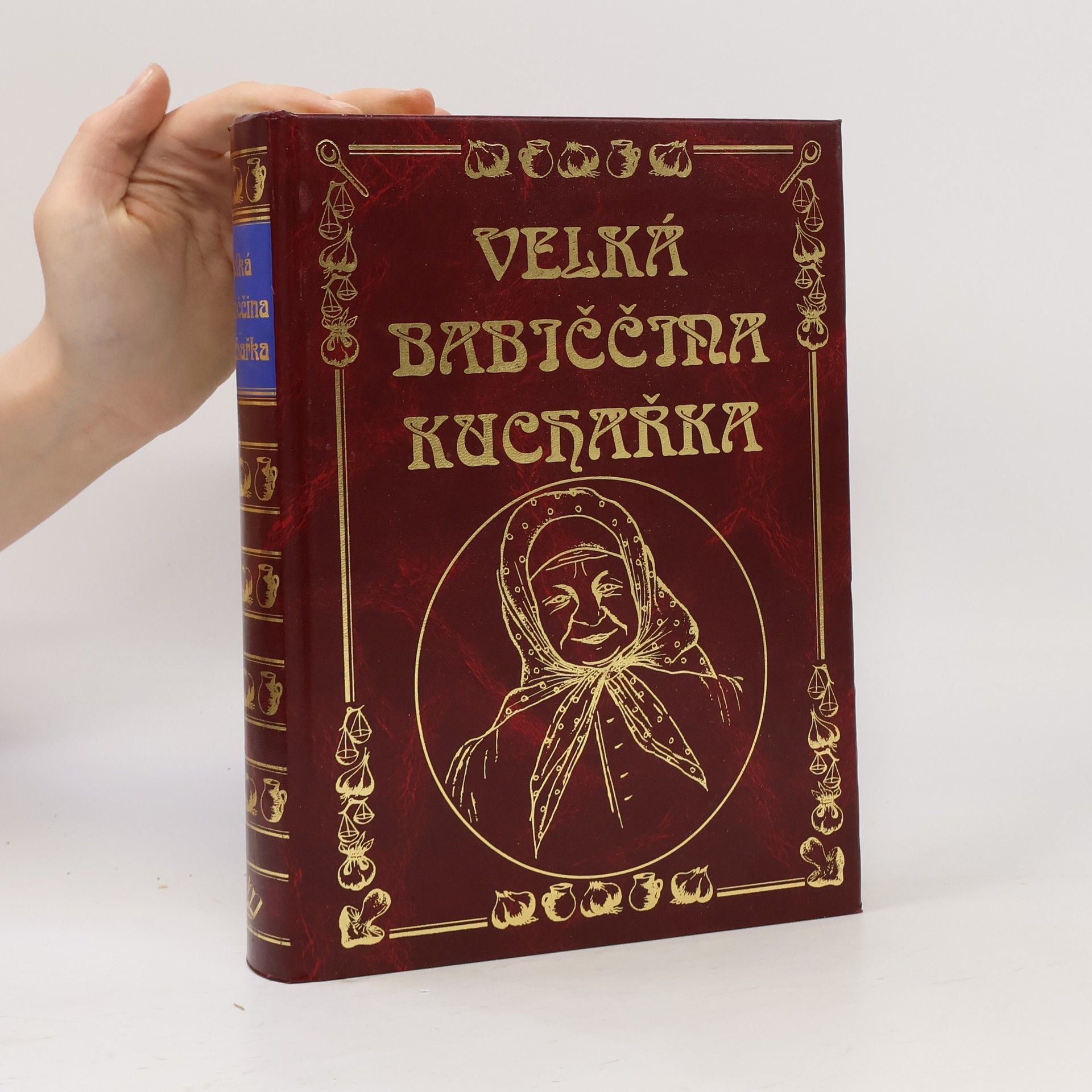 Kolektív autorov Velká babiččina kuchařka