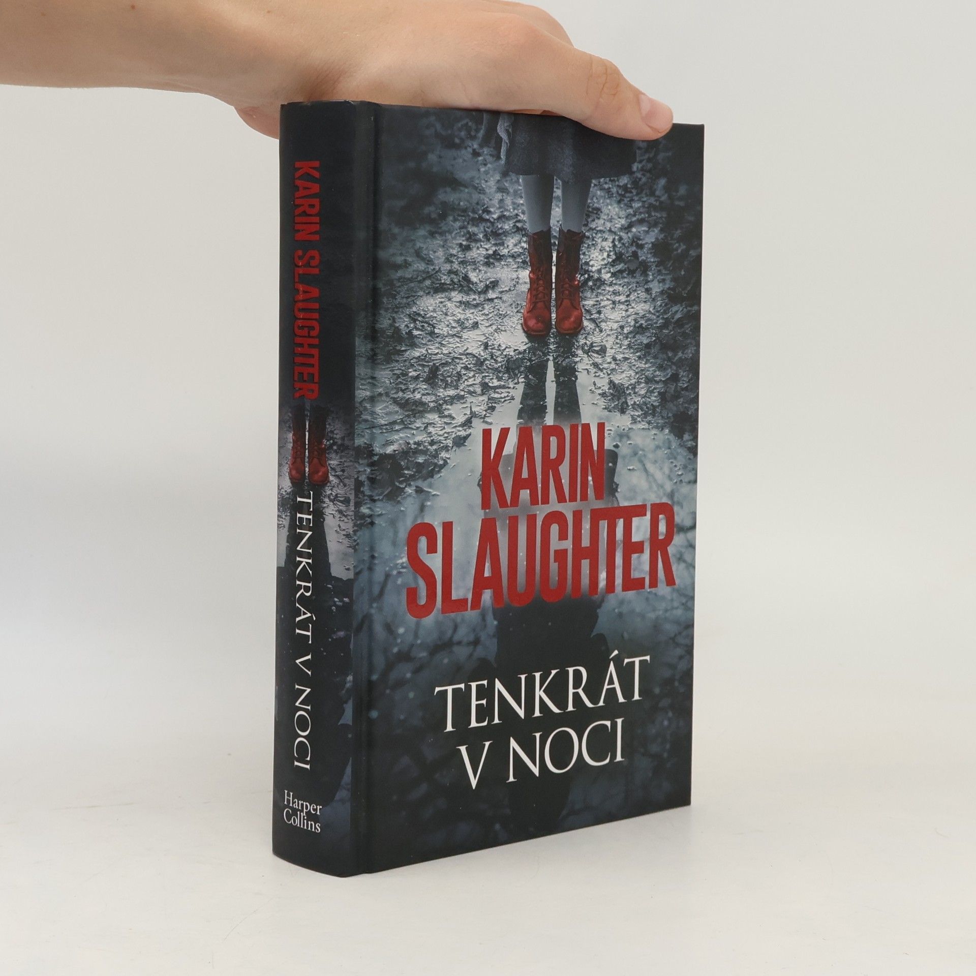 Karin Slaughter Tenkrát v noci