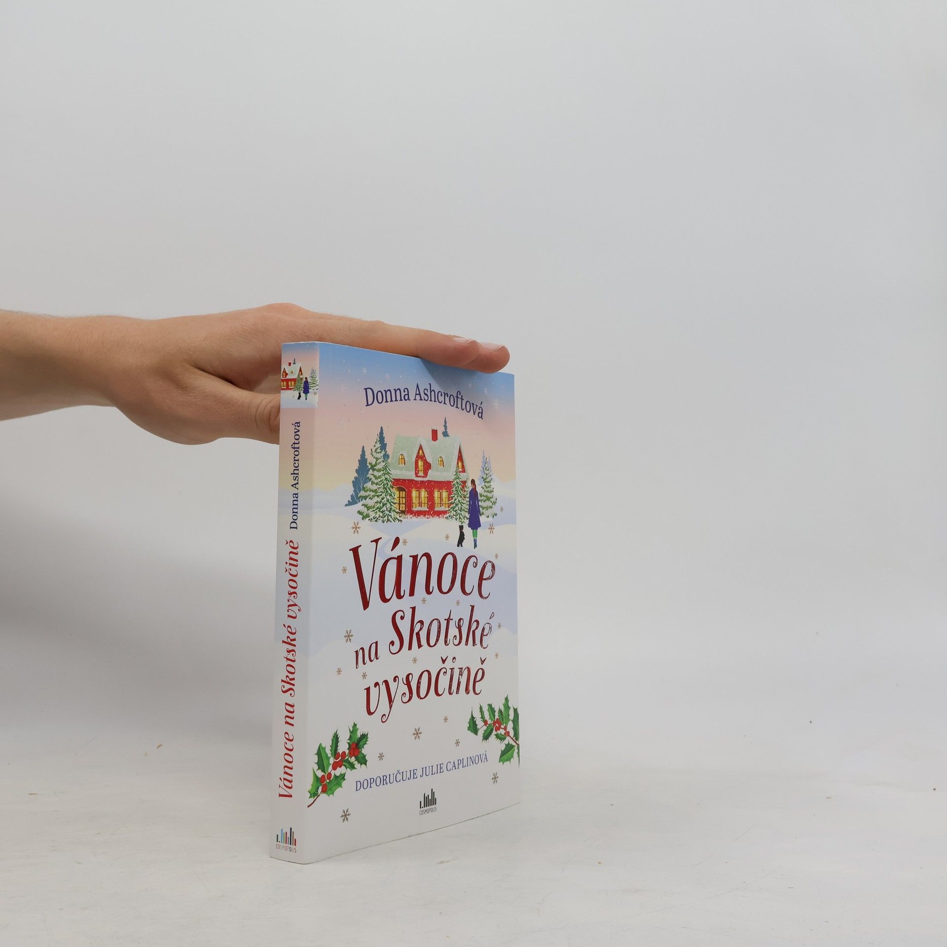 Donna Ashcroft Vánoce na Skotské vysočině