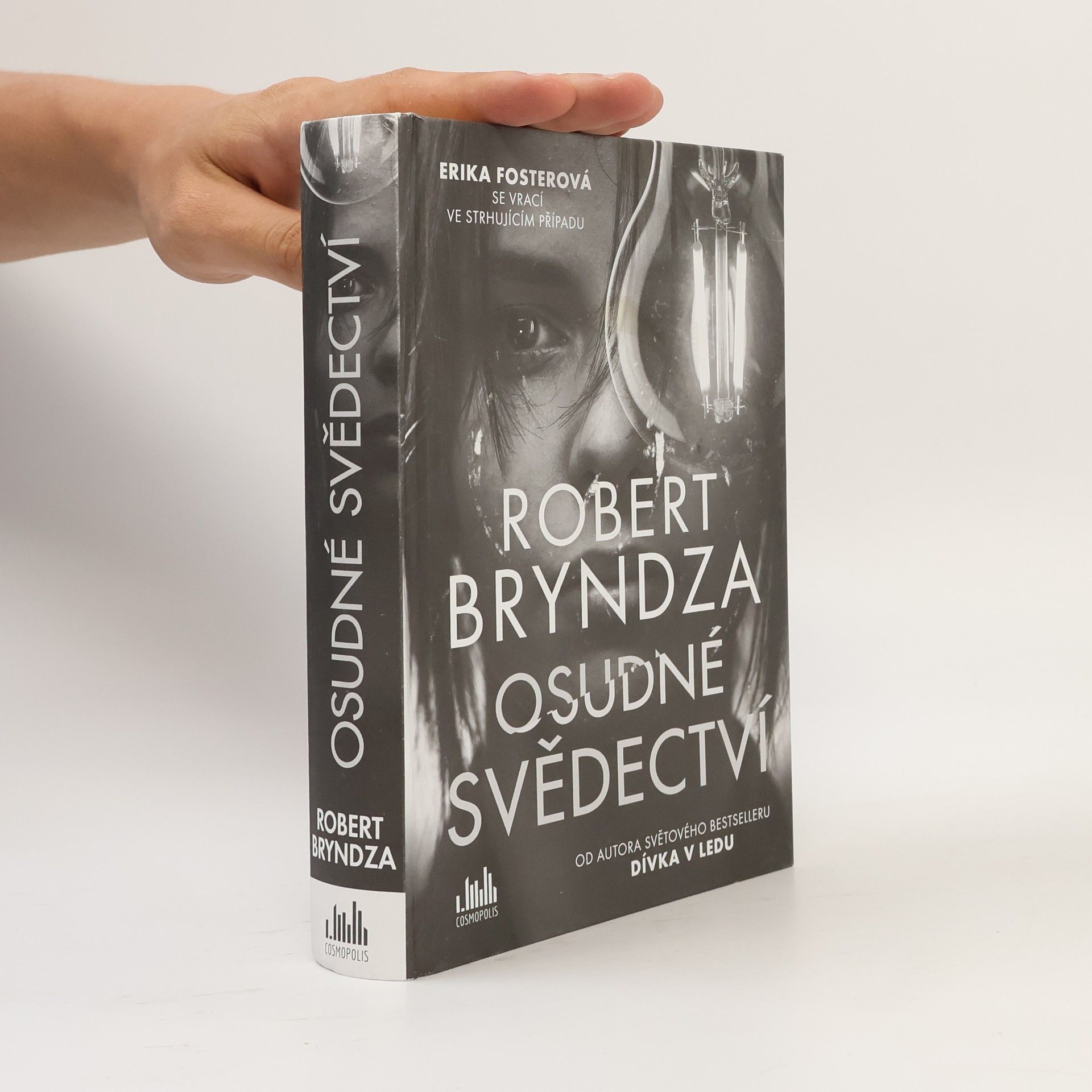 Robert Bryndza Osudné svědectví