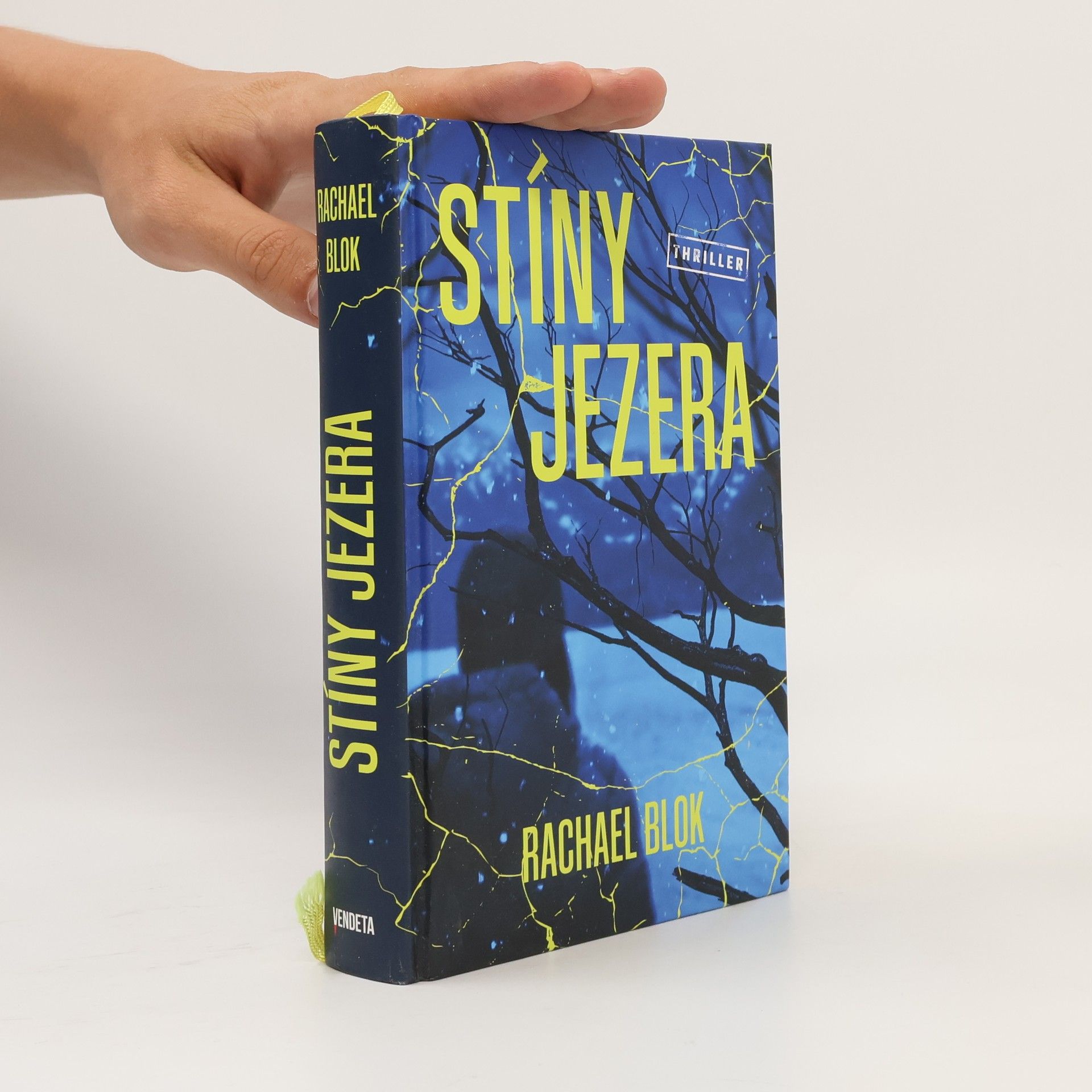 Rachael Blok Stíny jezera