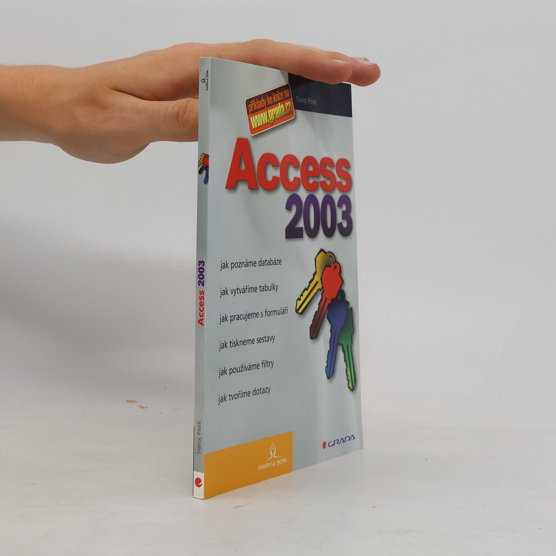 Slavoj Písek Access 2003