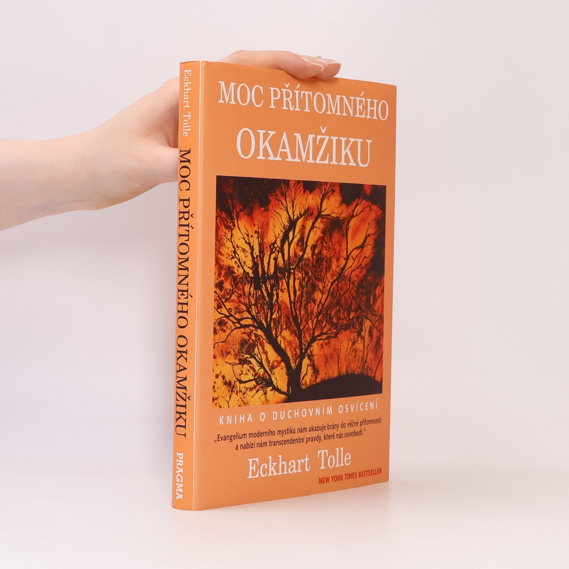 Eckhart Tolle Moc přítomného okamžiku