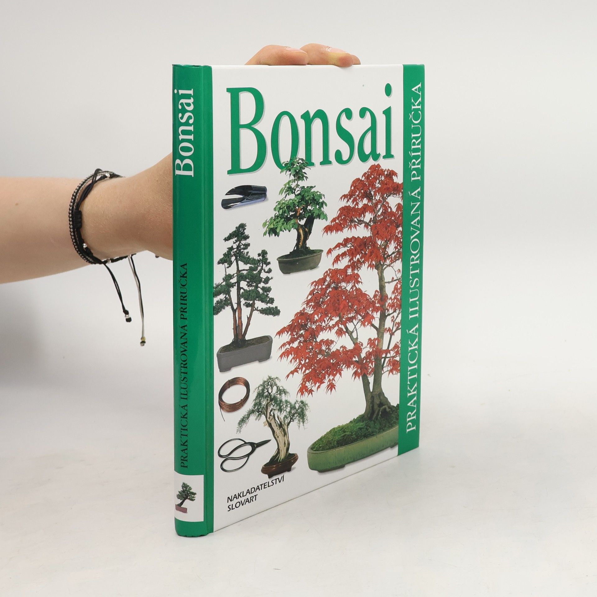 Dana Wiesnerová Bonsai. Praktická ilustrovaná příručka