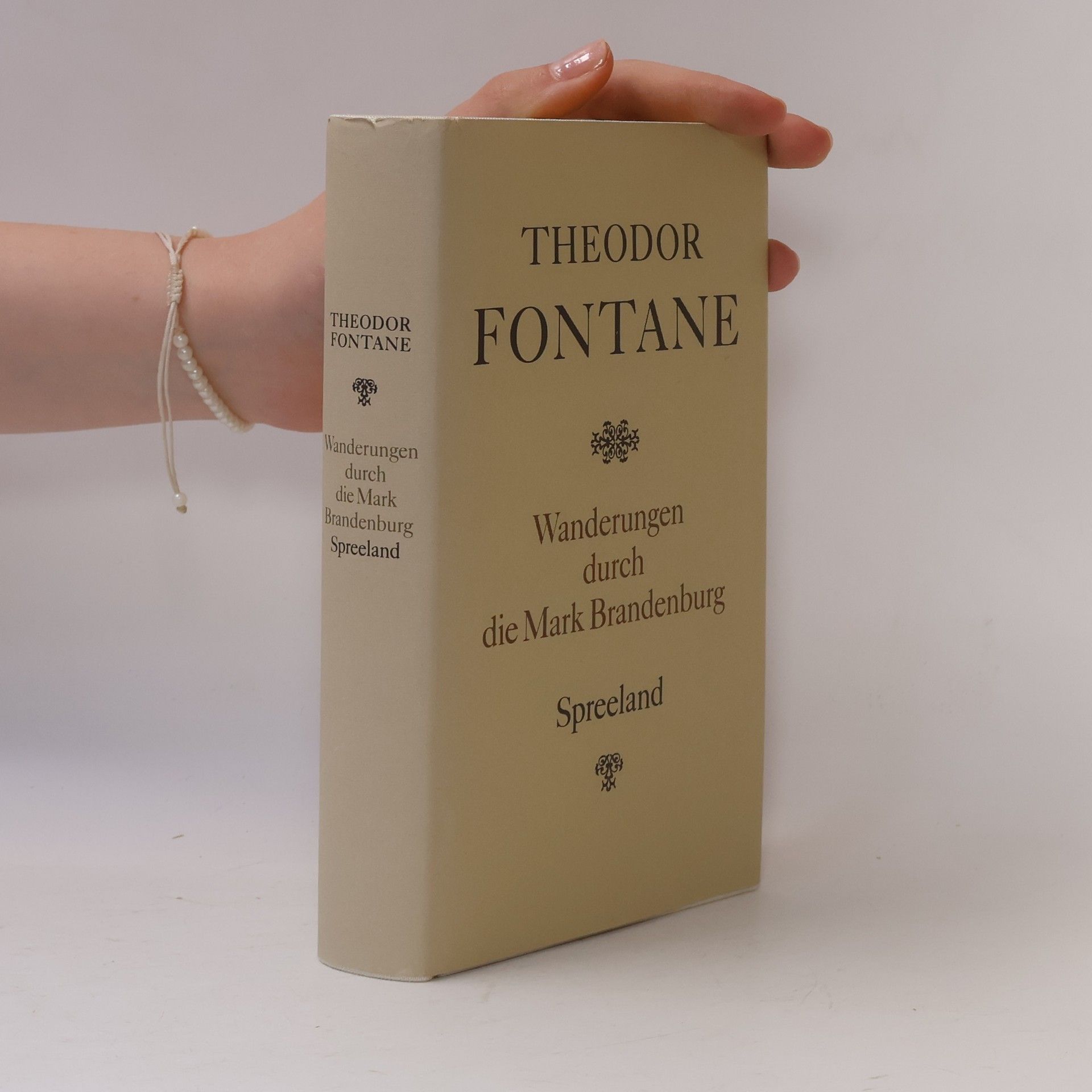 Theodor Fontane Wanderungen durch die Mark Brandenburg 4