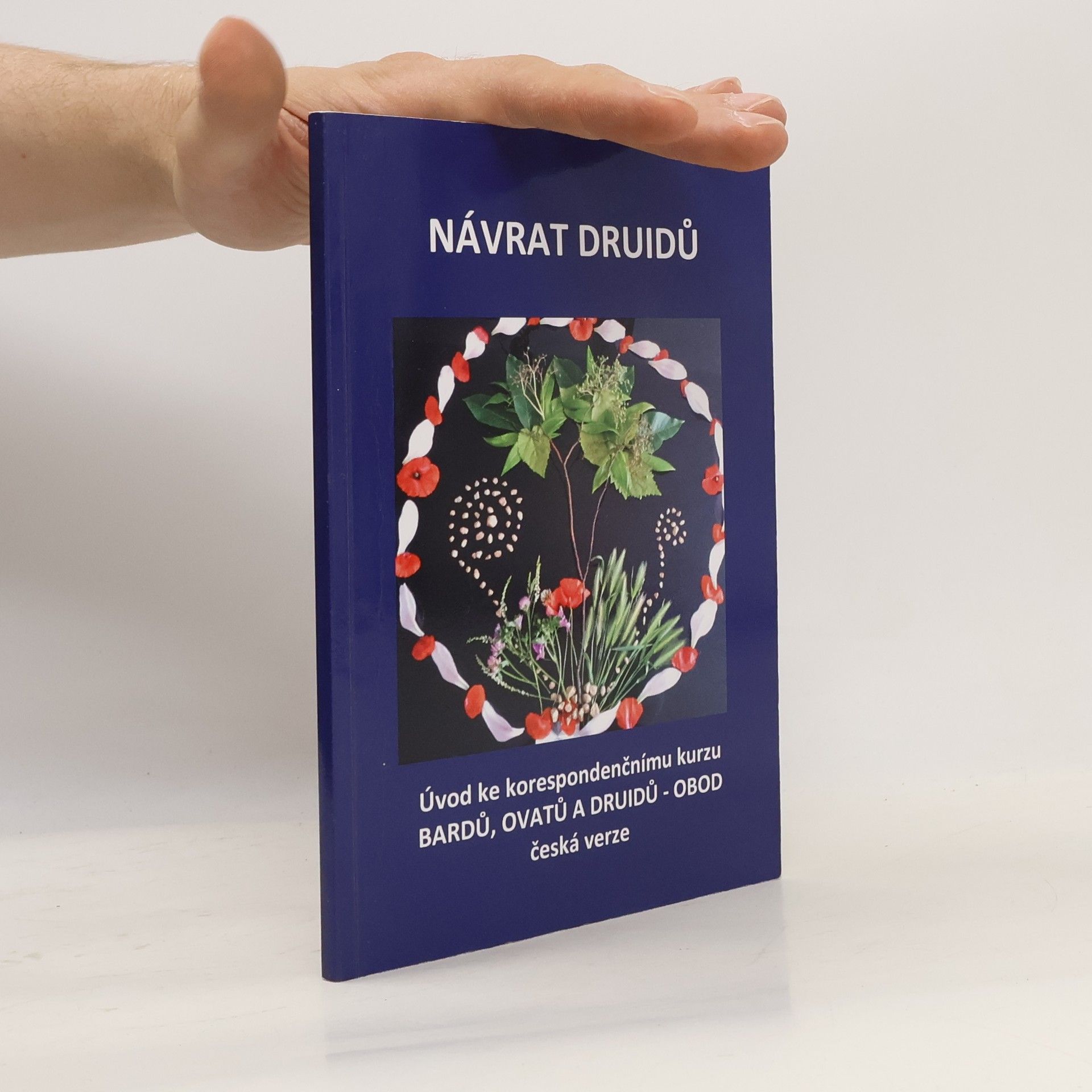 AA.VV. Návrat Druidů