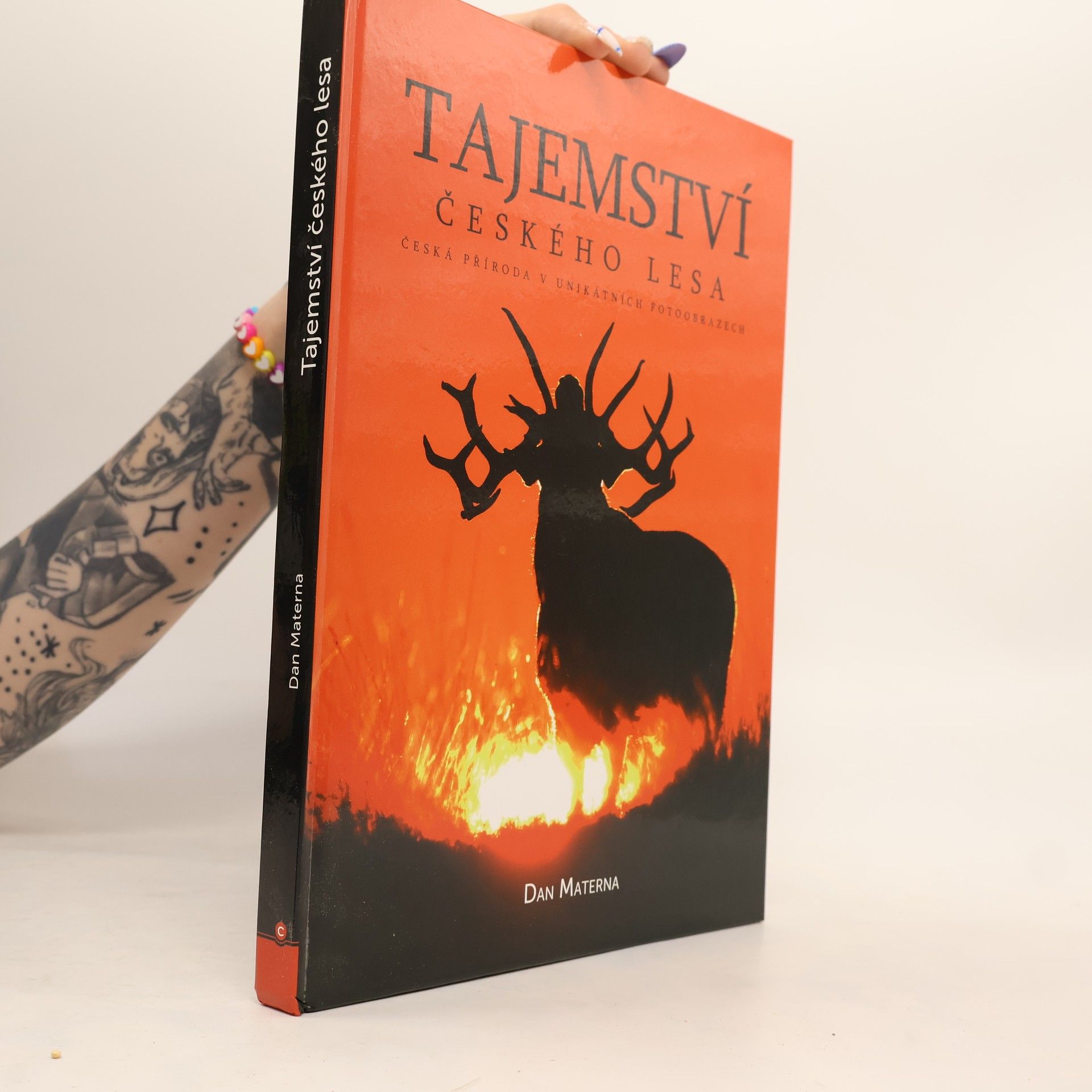 Eva Bobůrková Tajemství českého lesa : česká příroda v unikátních fotoobrazech