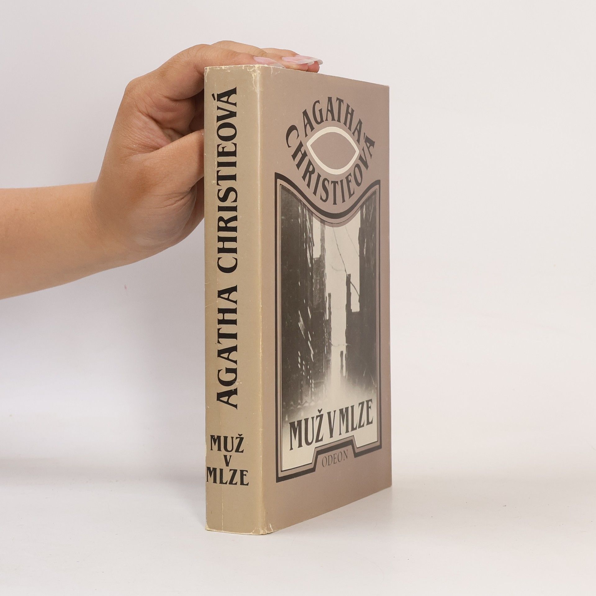 Agatha Christie Muž v mlze