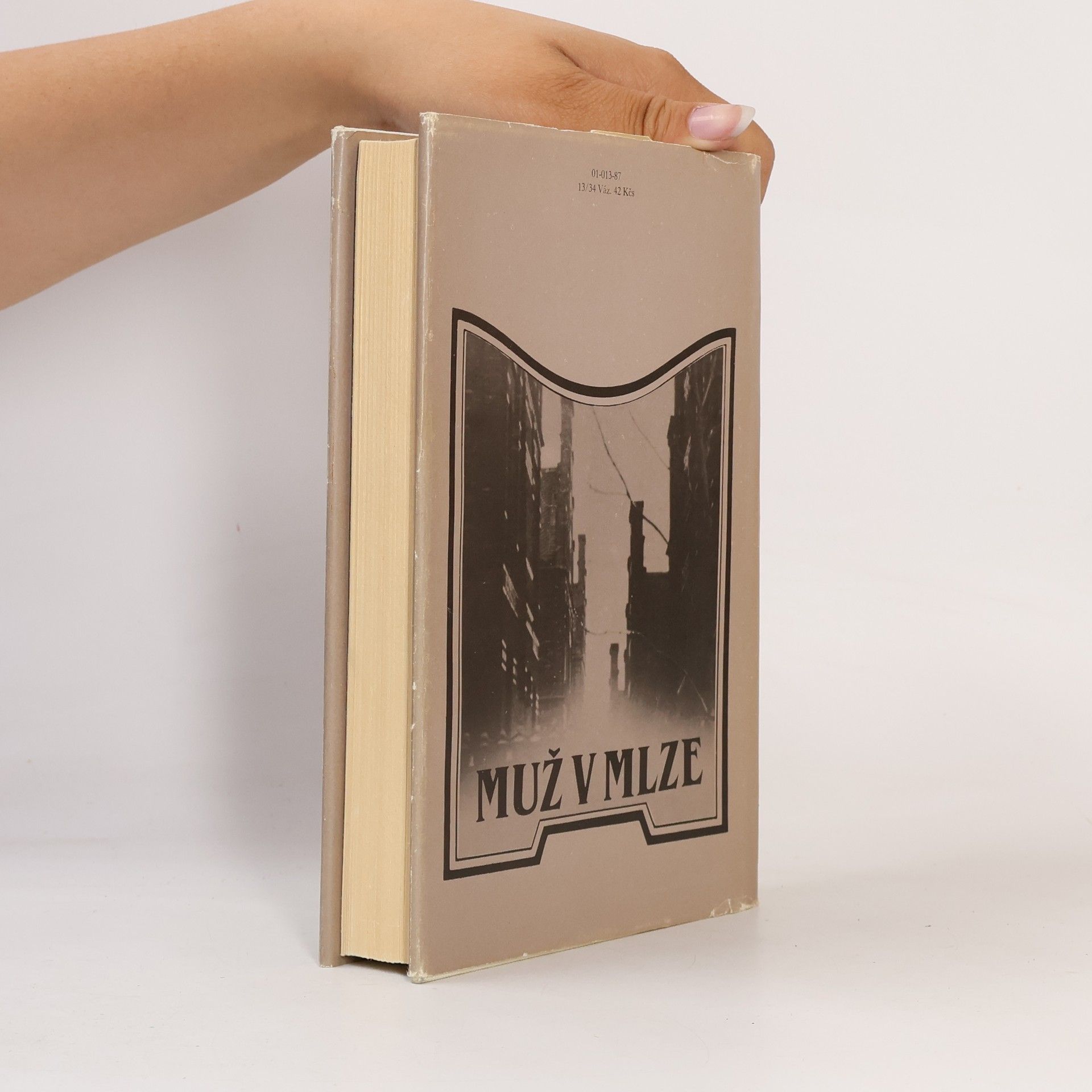 Agatha Christie Muž v mlze
