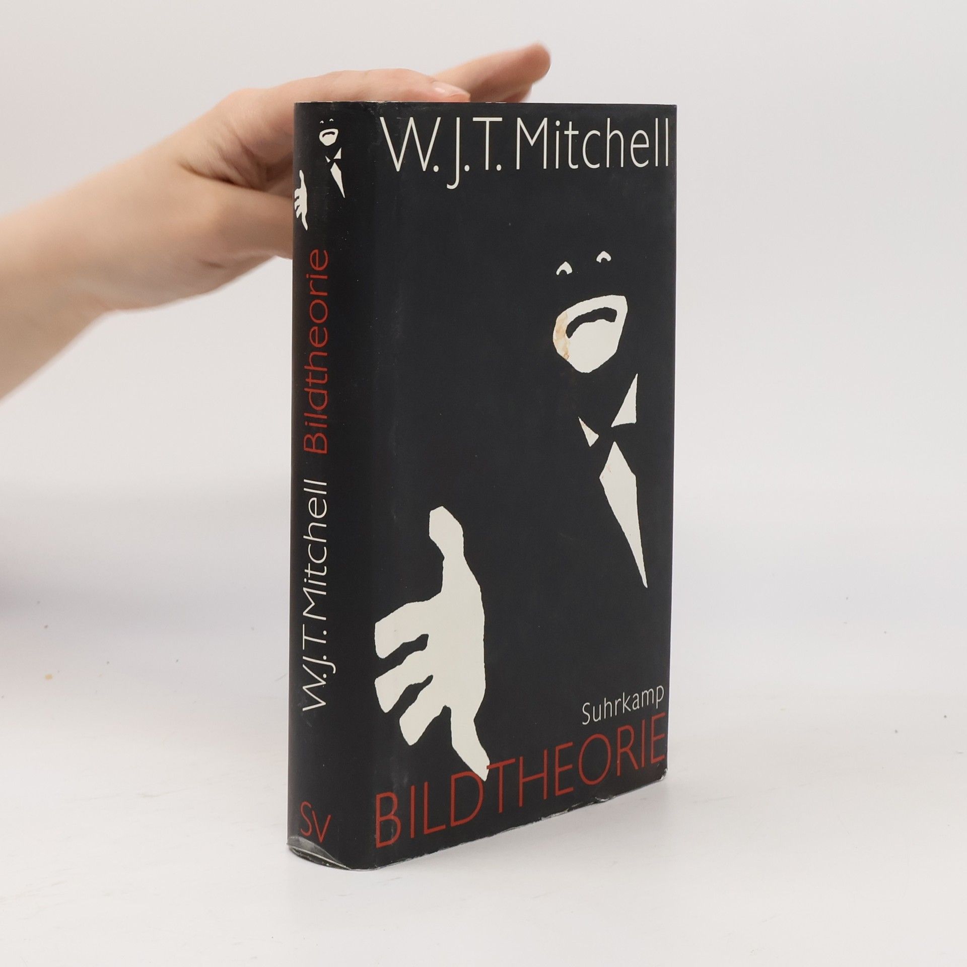 W. J. T. Mitchell Bildtheorie