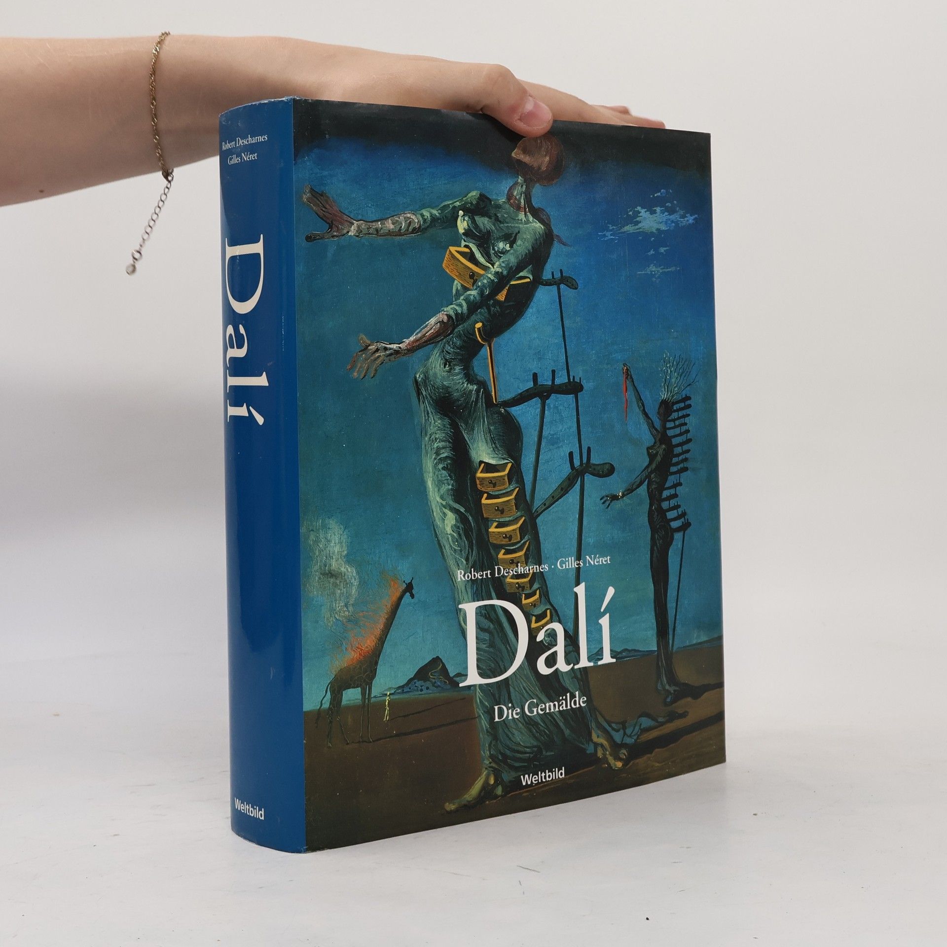 Robert Descharnes Salvador Dalí Die Gemälde