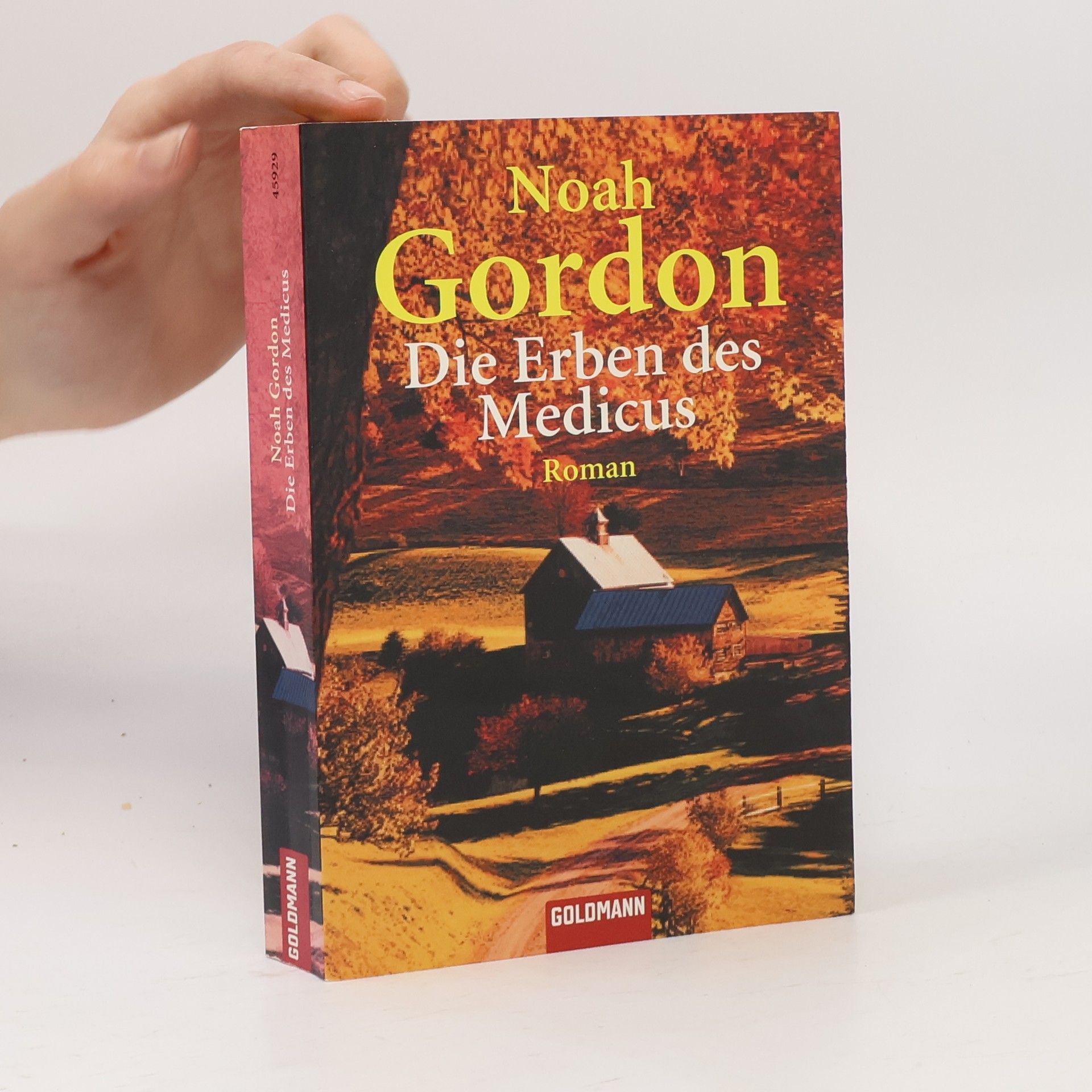 Noah Gordon Die Erben des Medicus