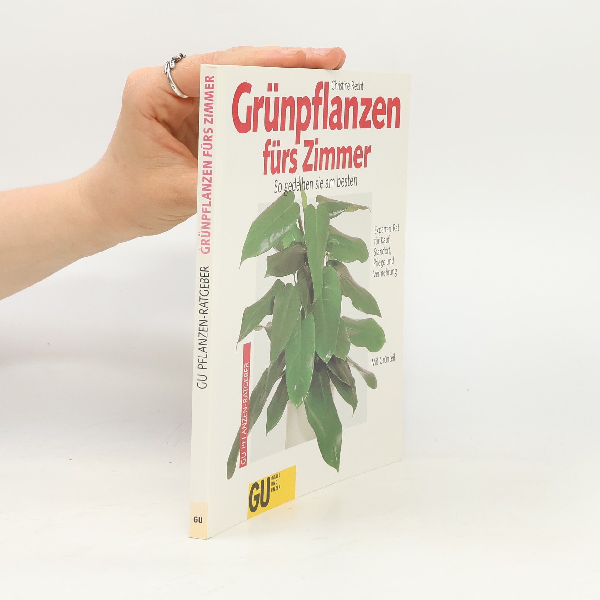 Autorenkollektiv Grünpflanzen fürs Zimmer