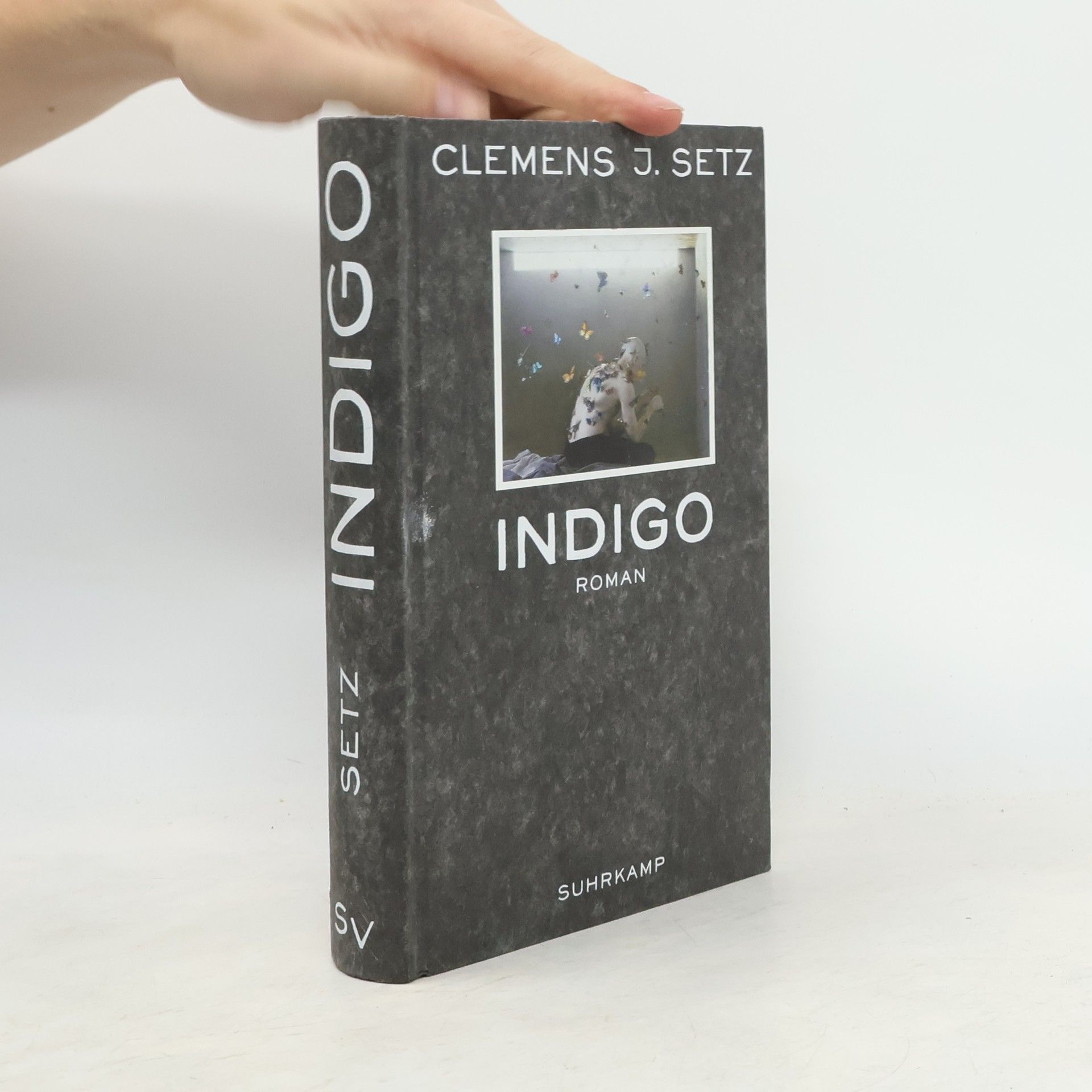 Clemens J. Setz Indigo