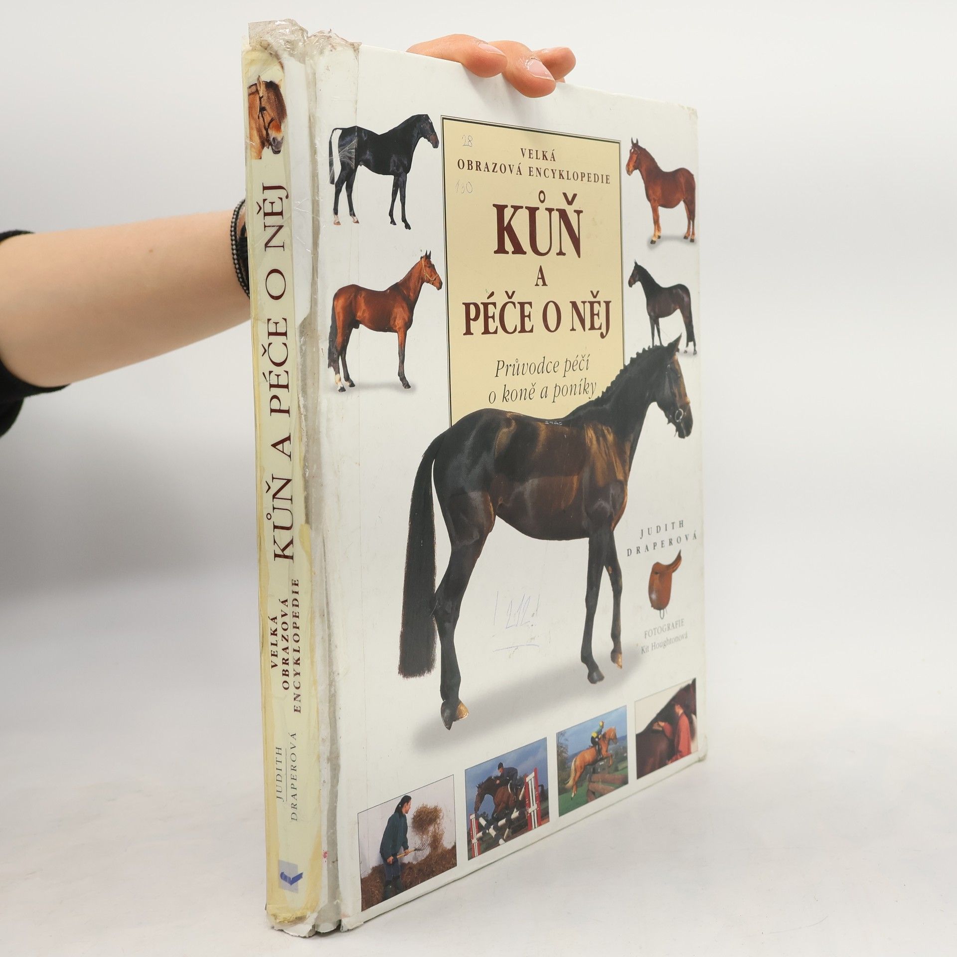 Judith Draper Kůň a péče o něj. Průvodce péčí o koně a poníky. Velká obrazová encyklopedie