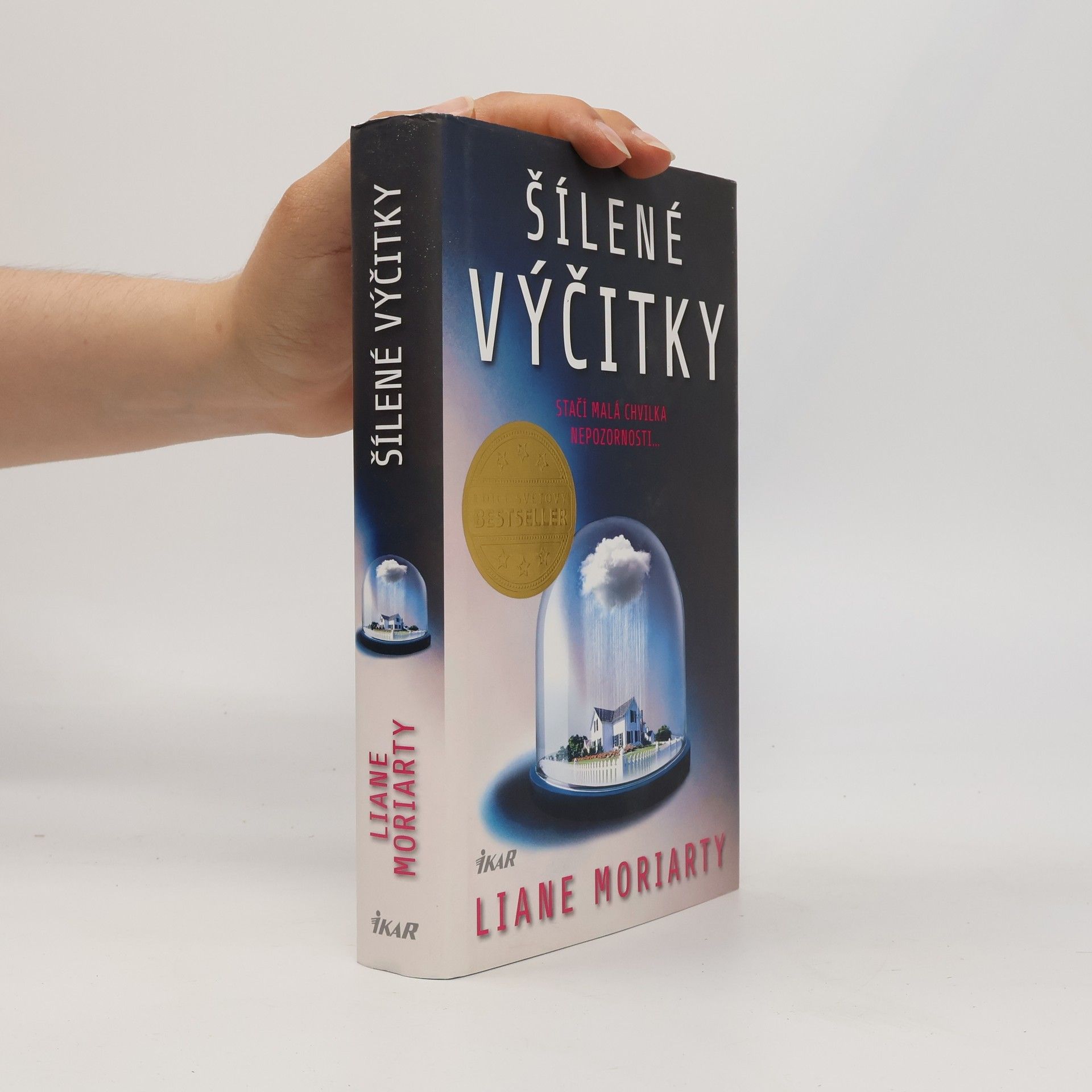 Liane Moriarty Šílené výčitky
