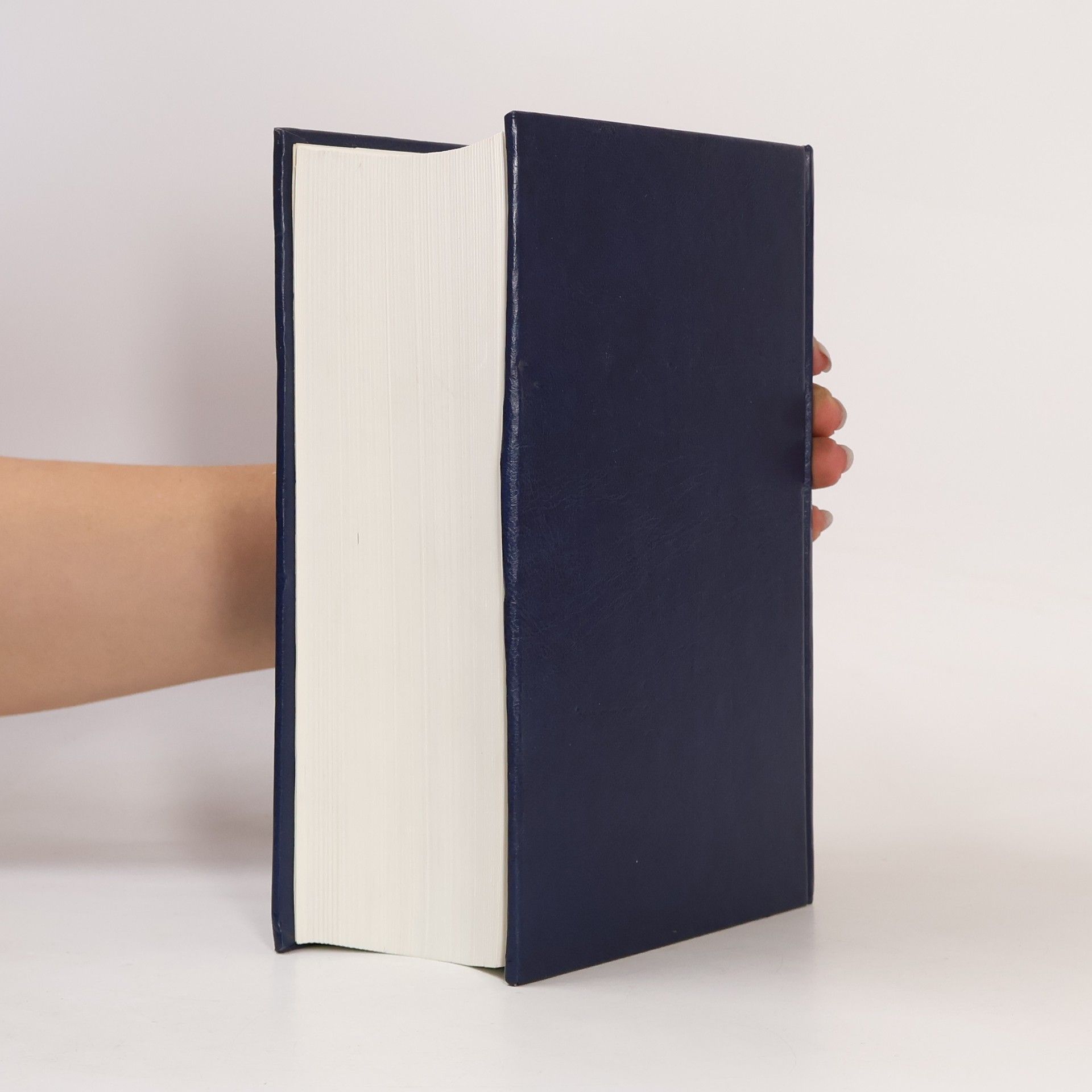 Jan Václav Novák Přehledné dějiny literatury české