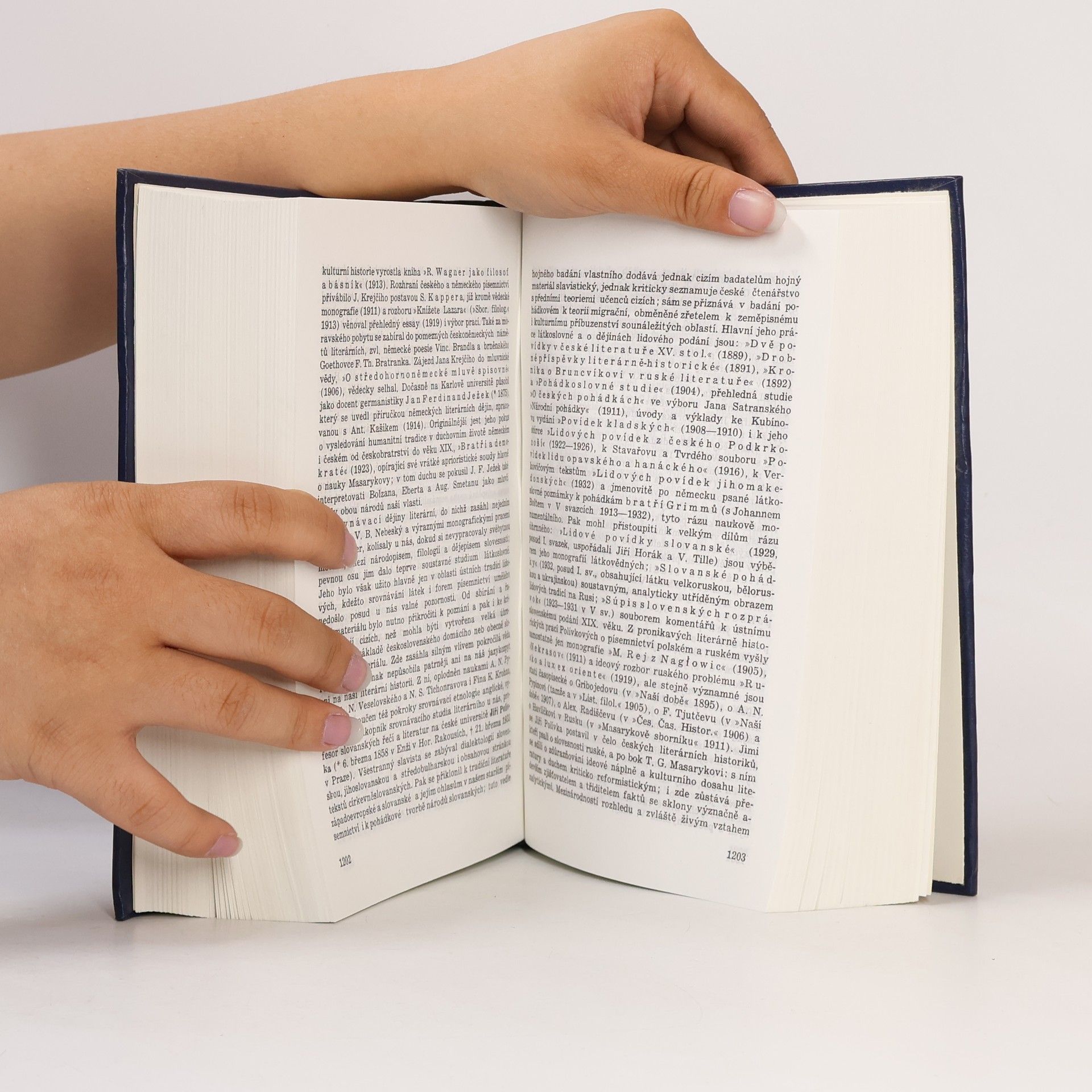 Jan Václav Novák Přehledné dějiny literatury české