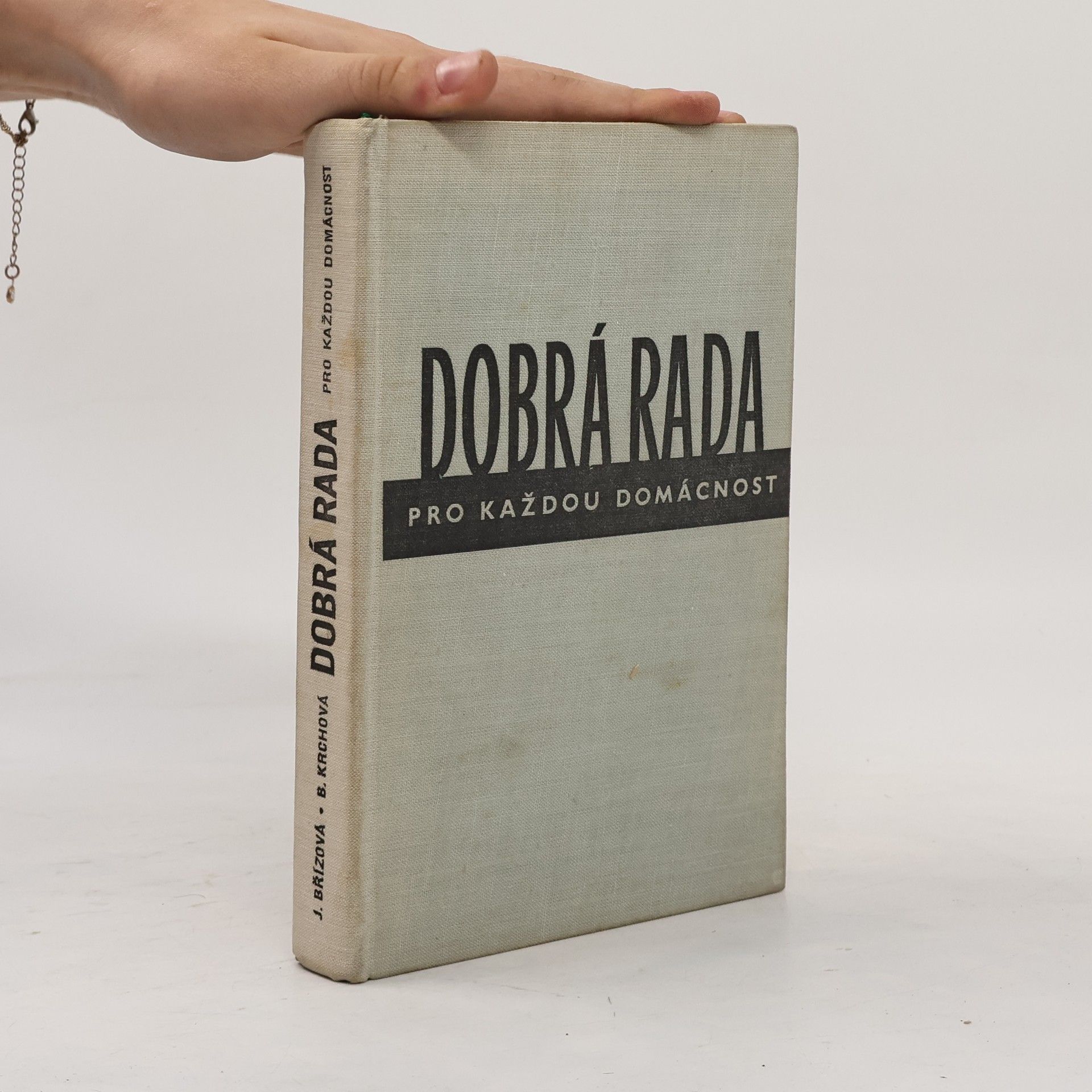 Joza Břízová Dobrá rada pro každou domácnost
