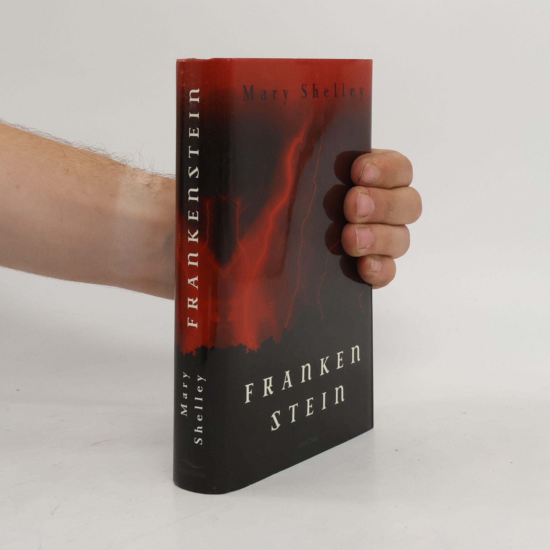 Mary Shelley Frankenstein oder Der neue Prometheus