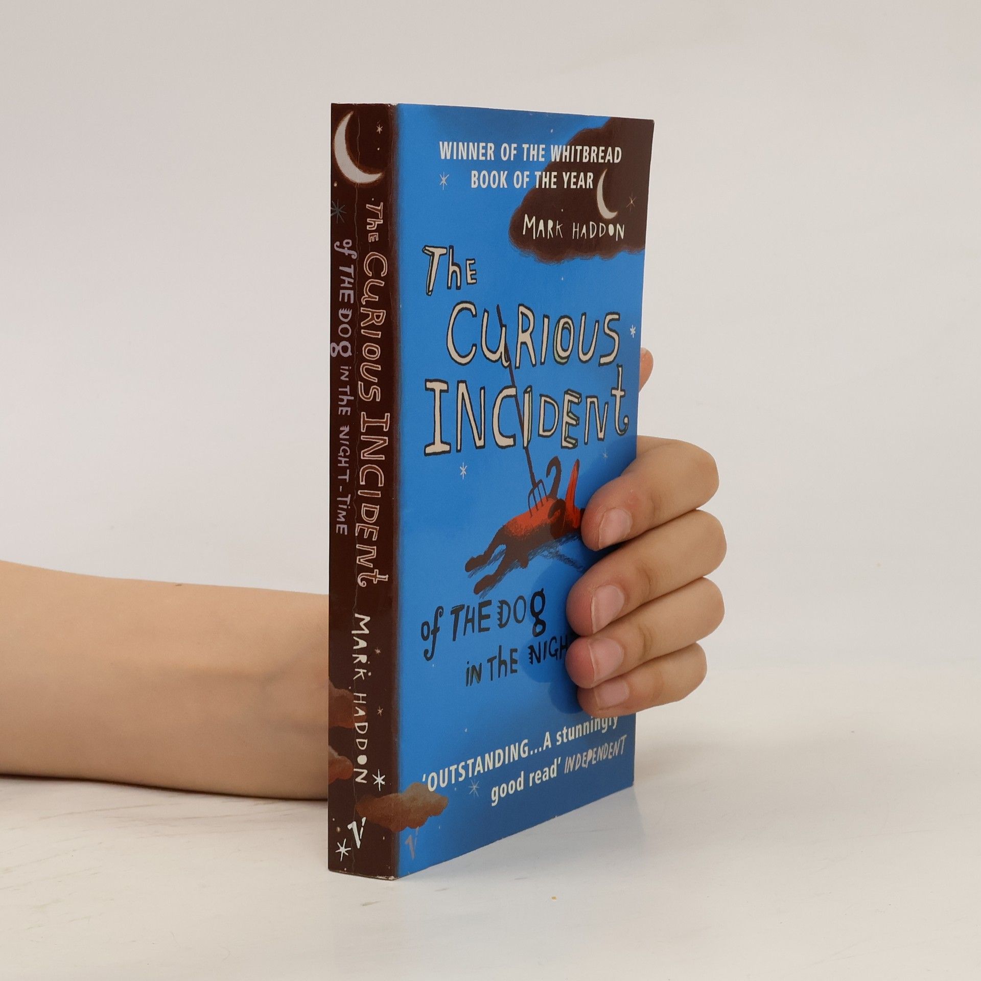 Mark Haddon The Curious Incident of The Dog in The Night-Time