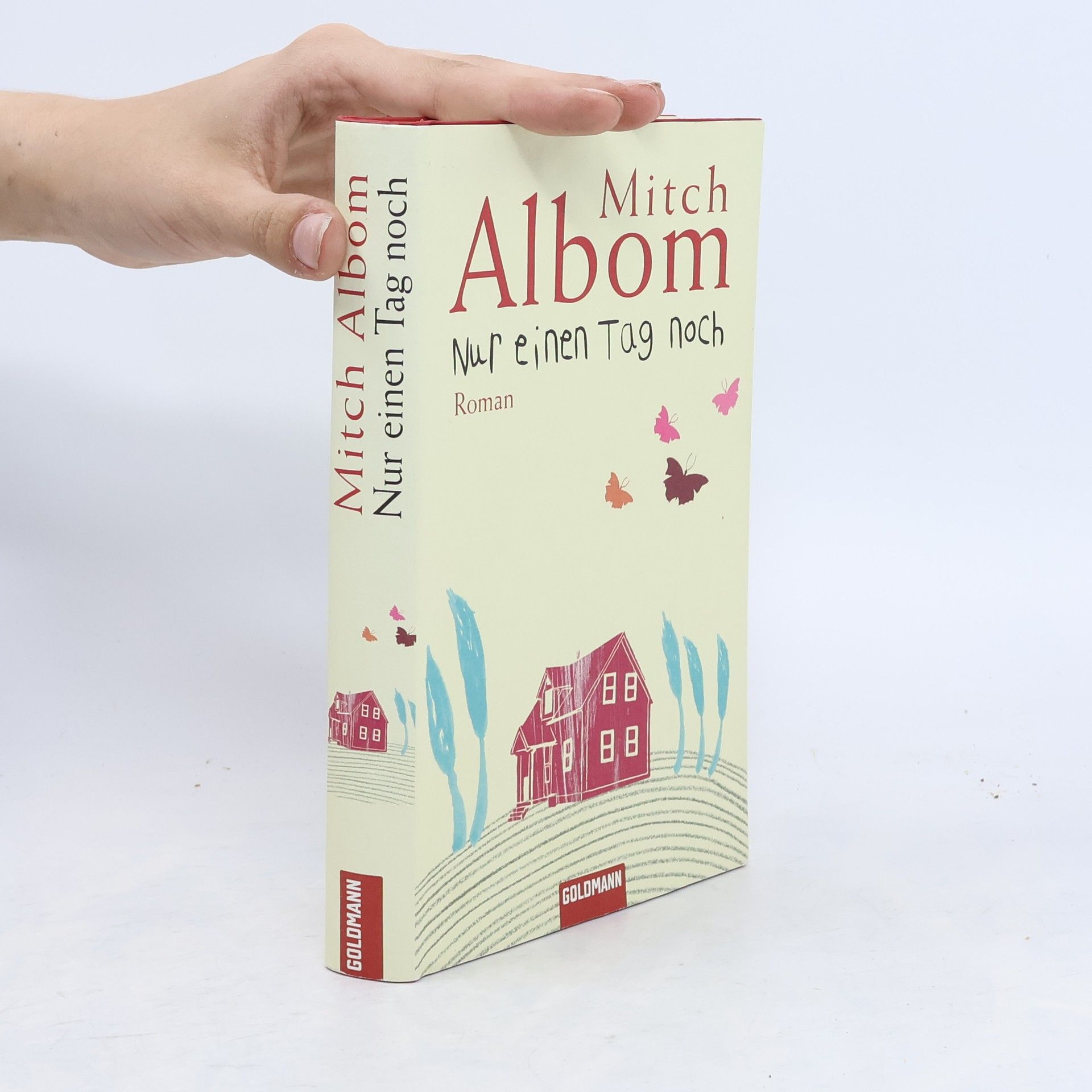 Mitch Albom Nur einen Tag noch